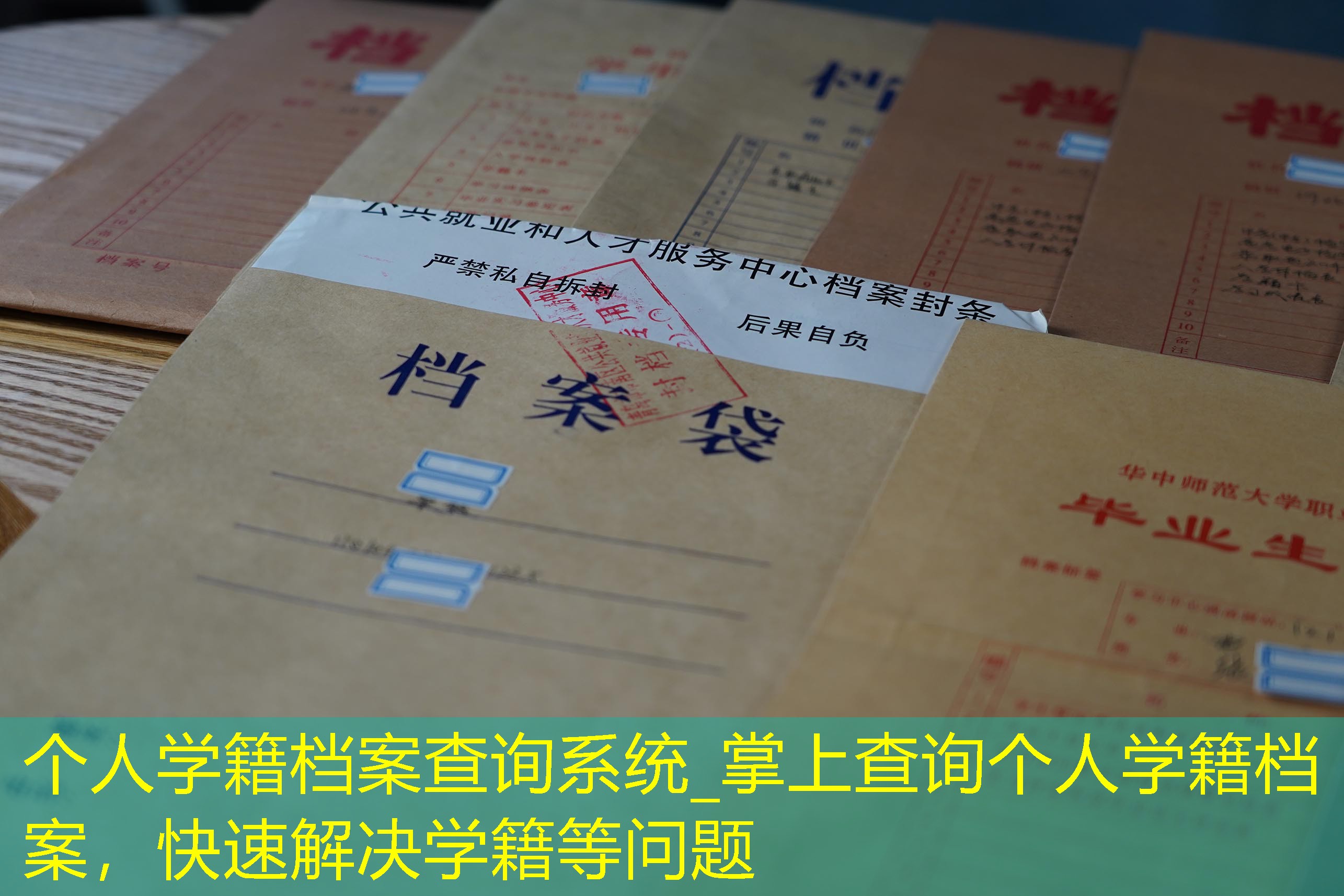 档案查询