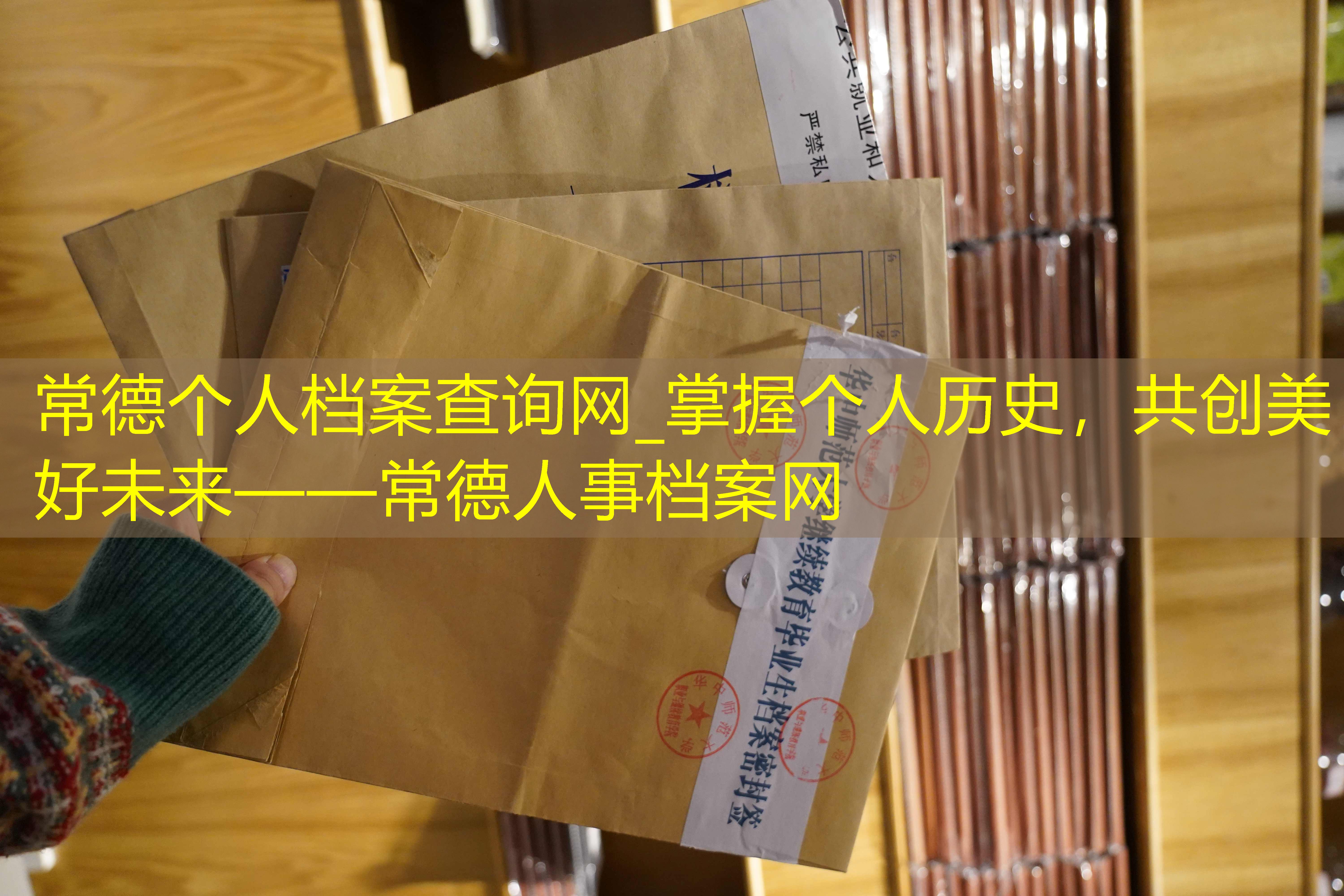 档案查询
