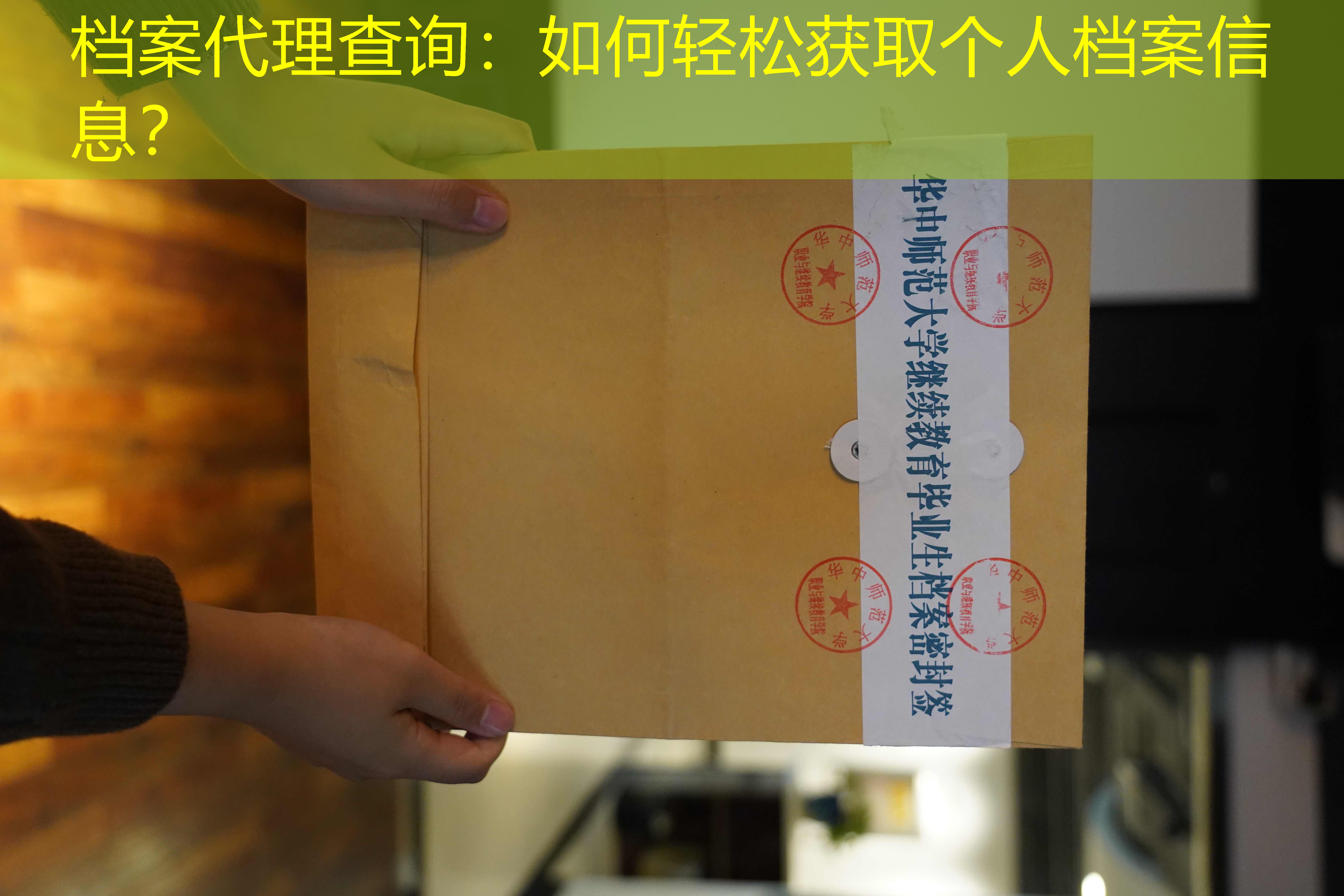 档案查询