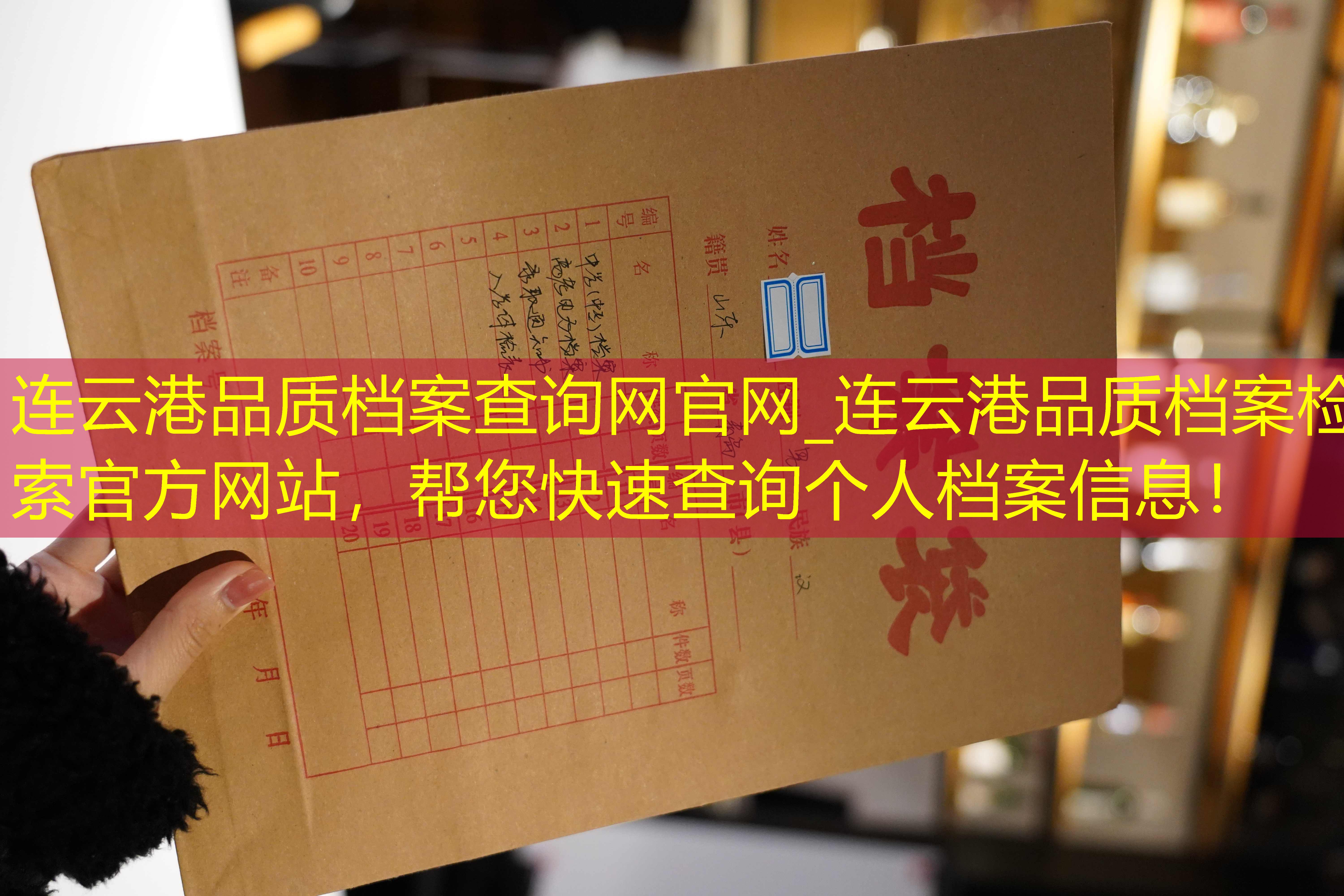档案查询