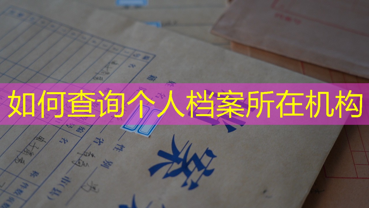 档案查询