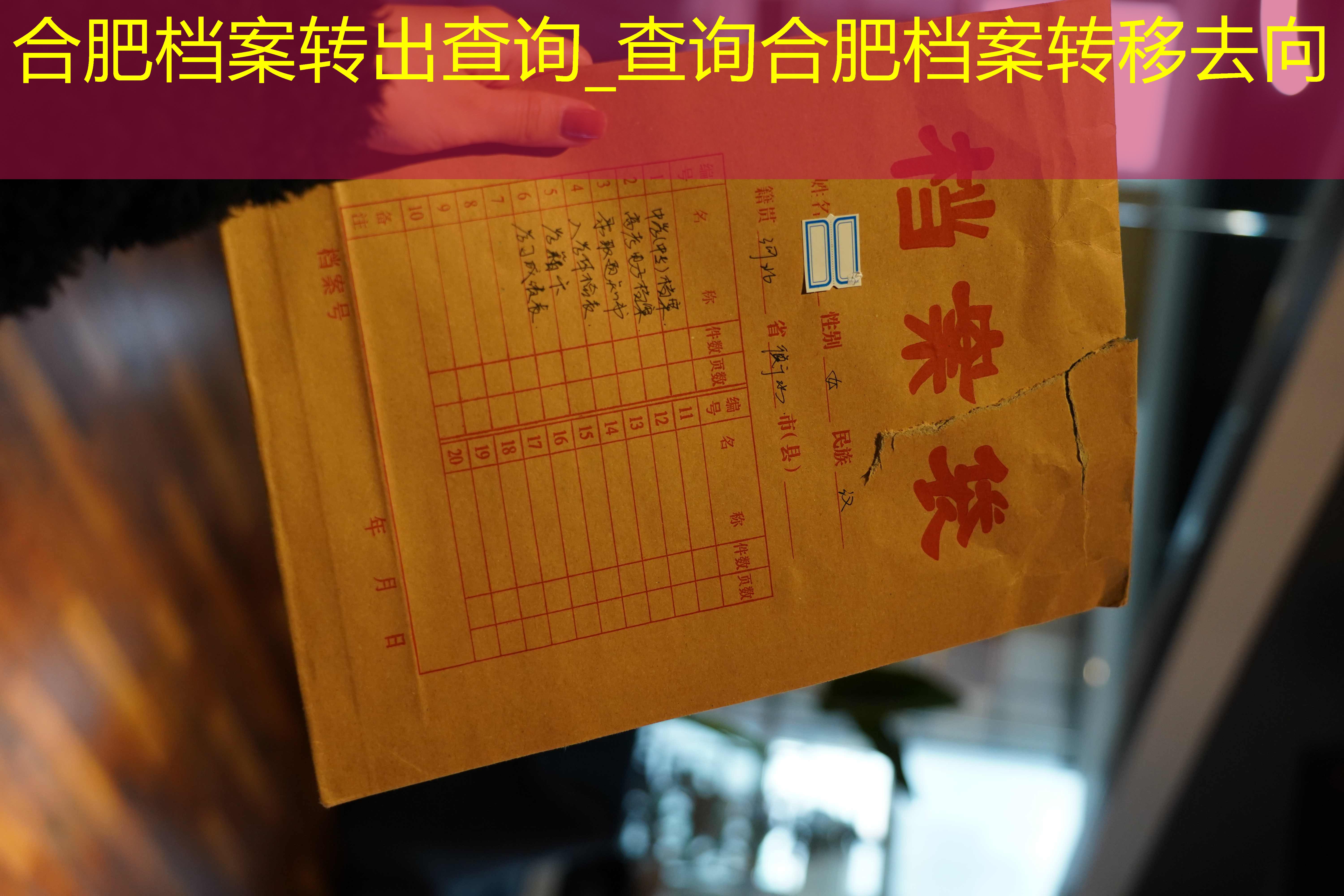档案查询