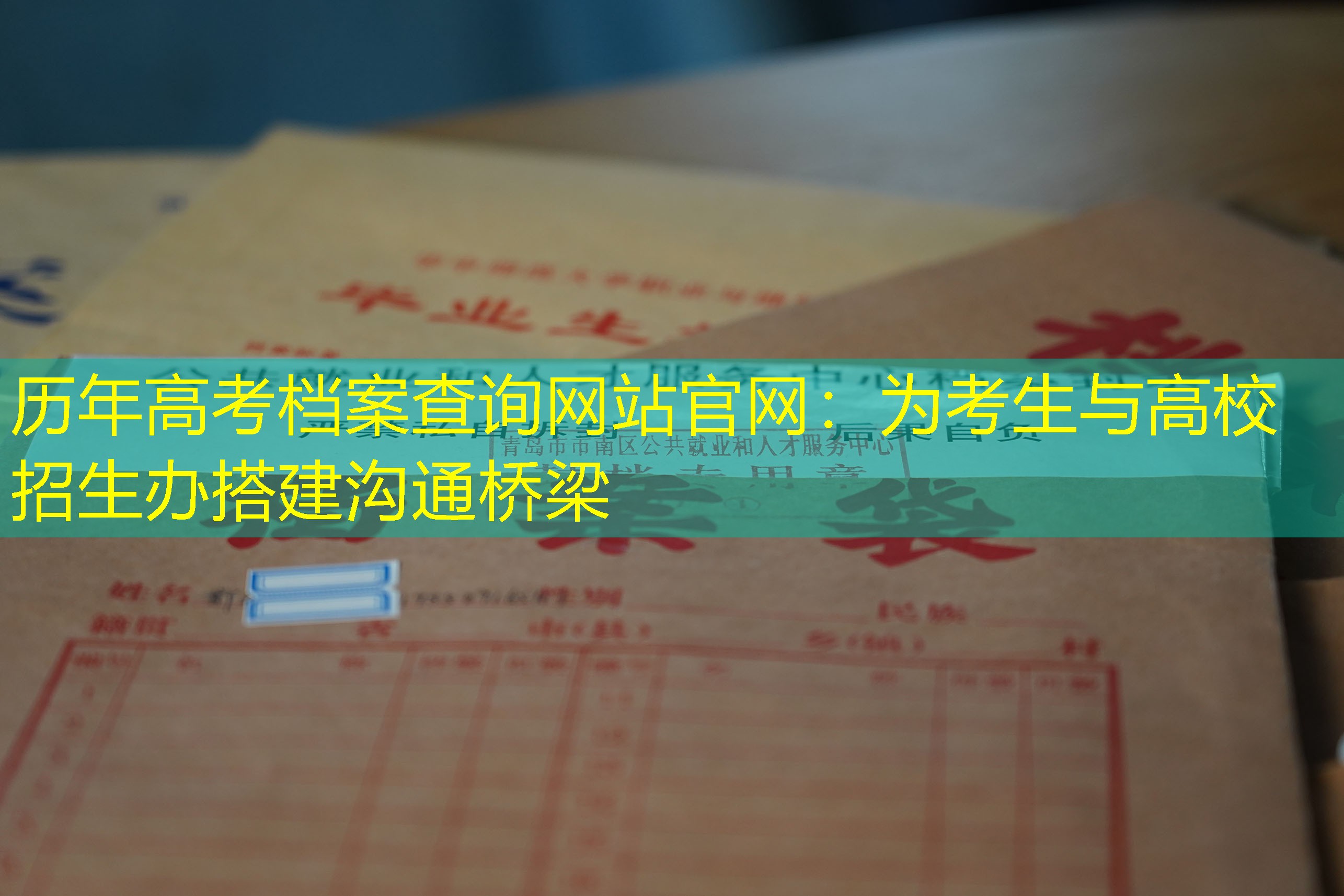 档案查询