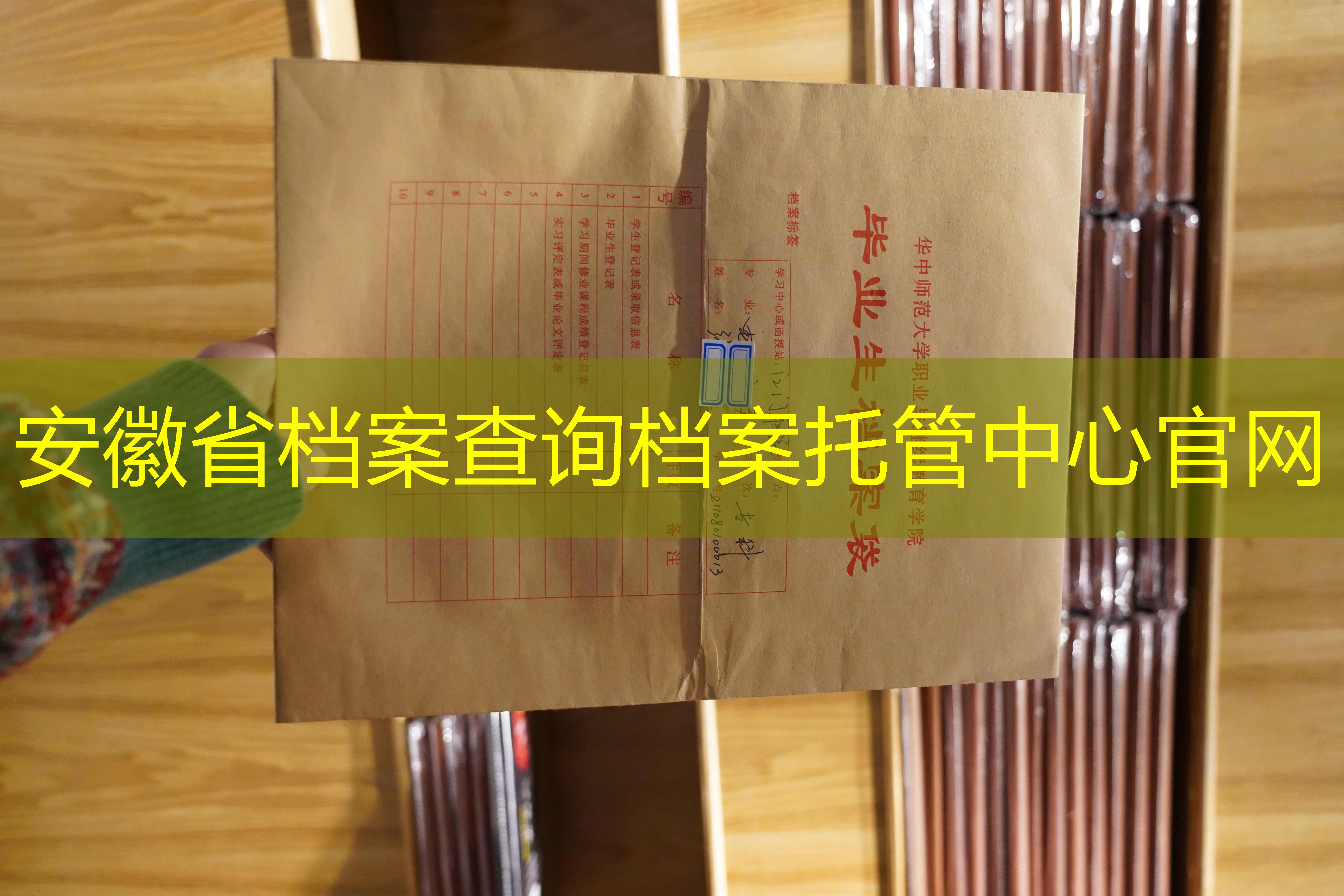 档案查询