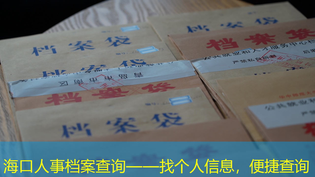 档案查询