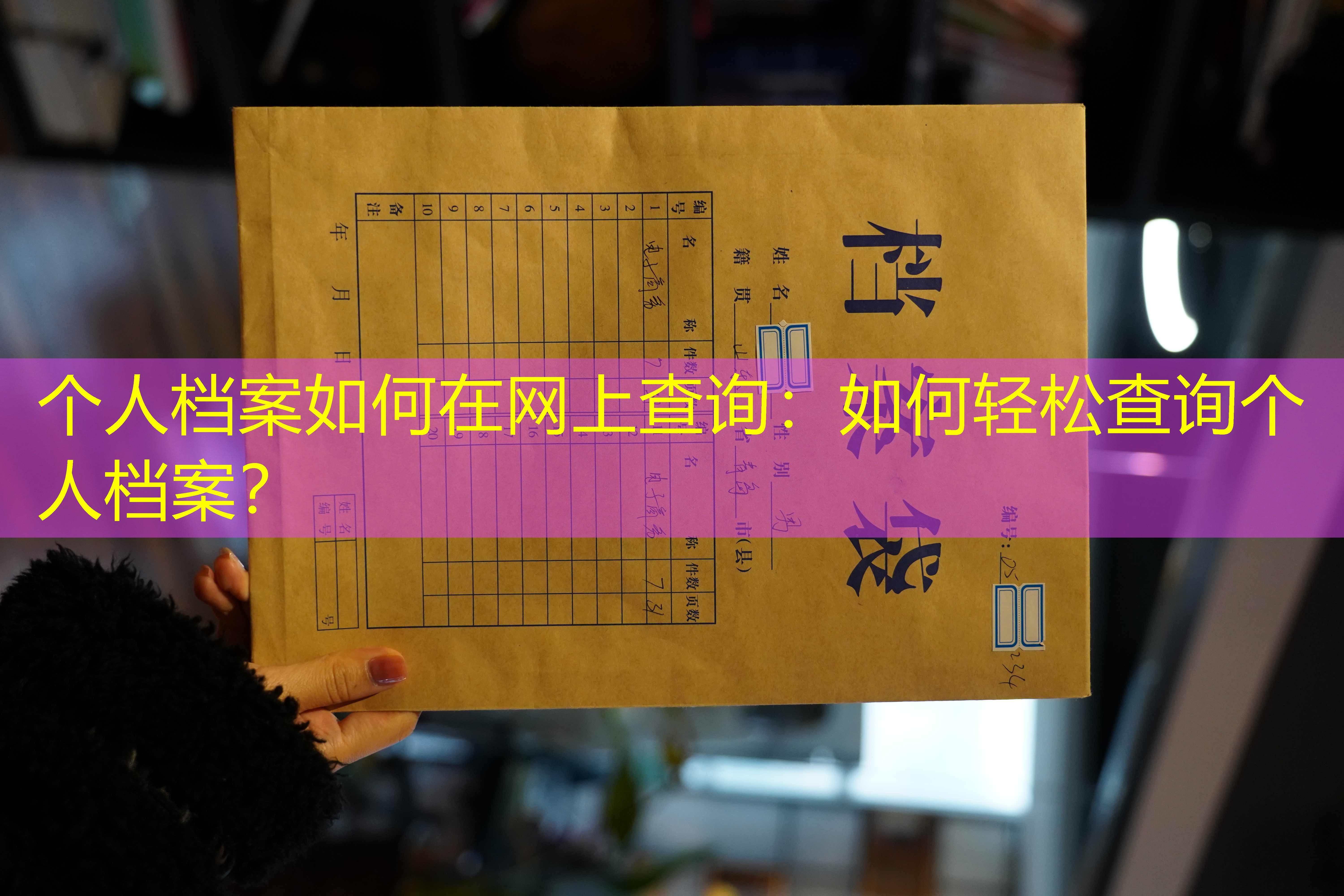 档案查询