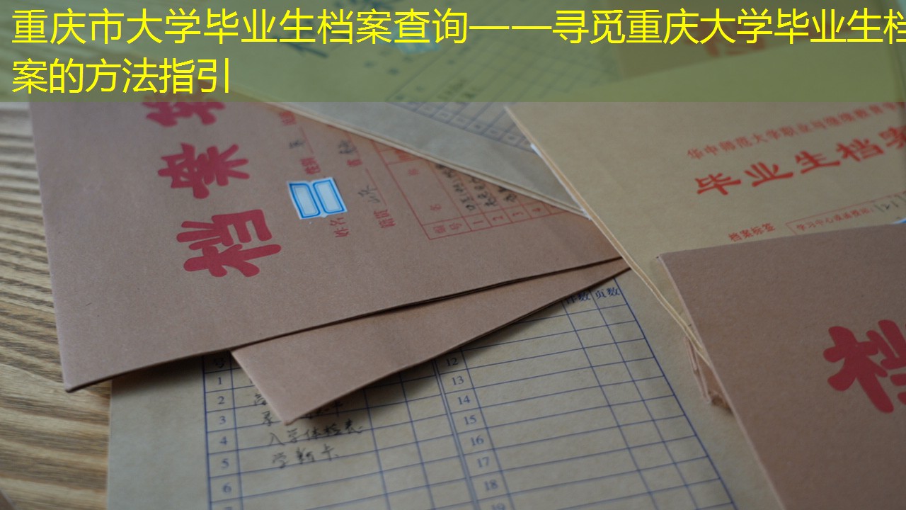 档案查询