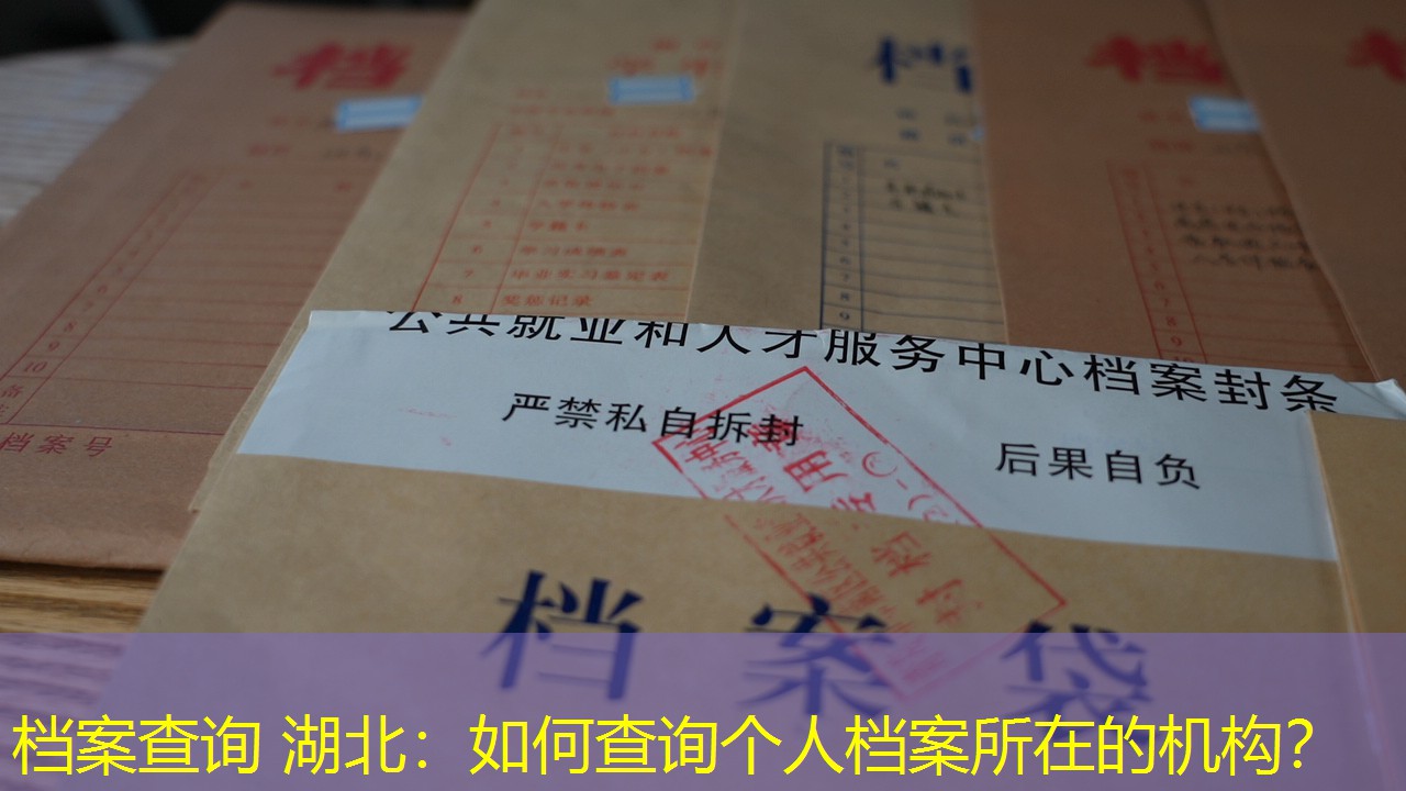 档案查询