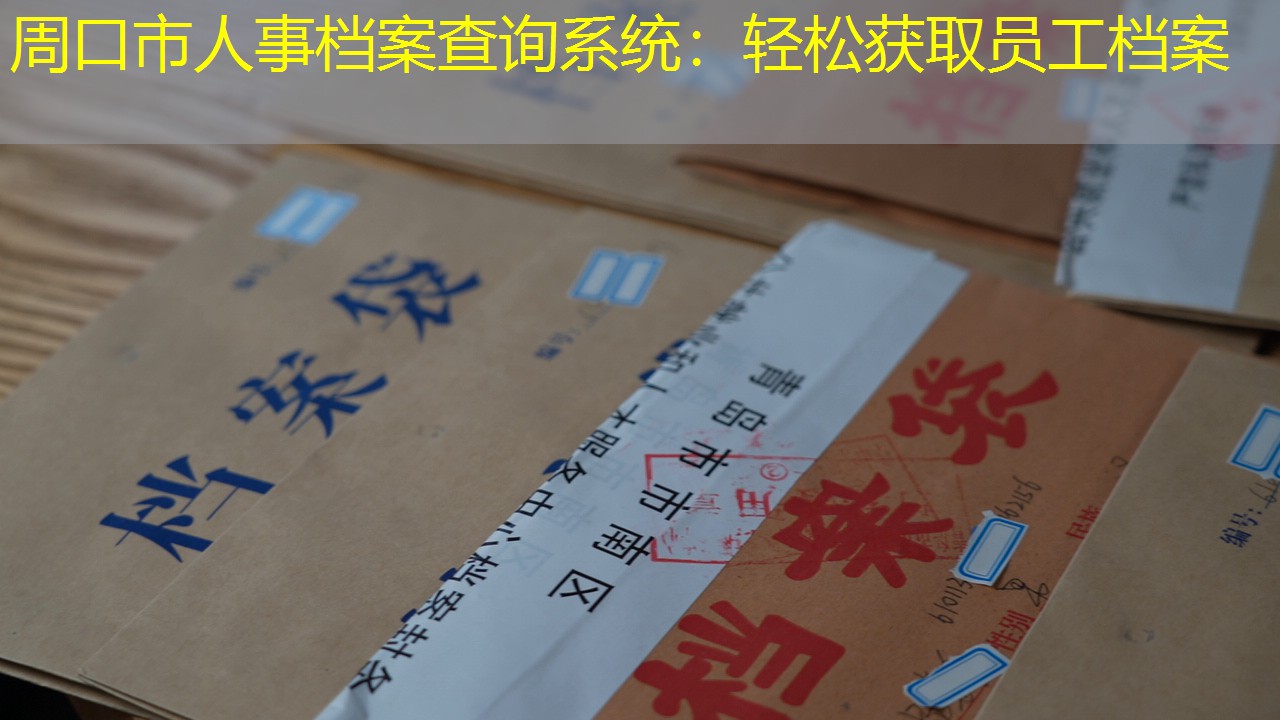 档案查询