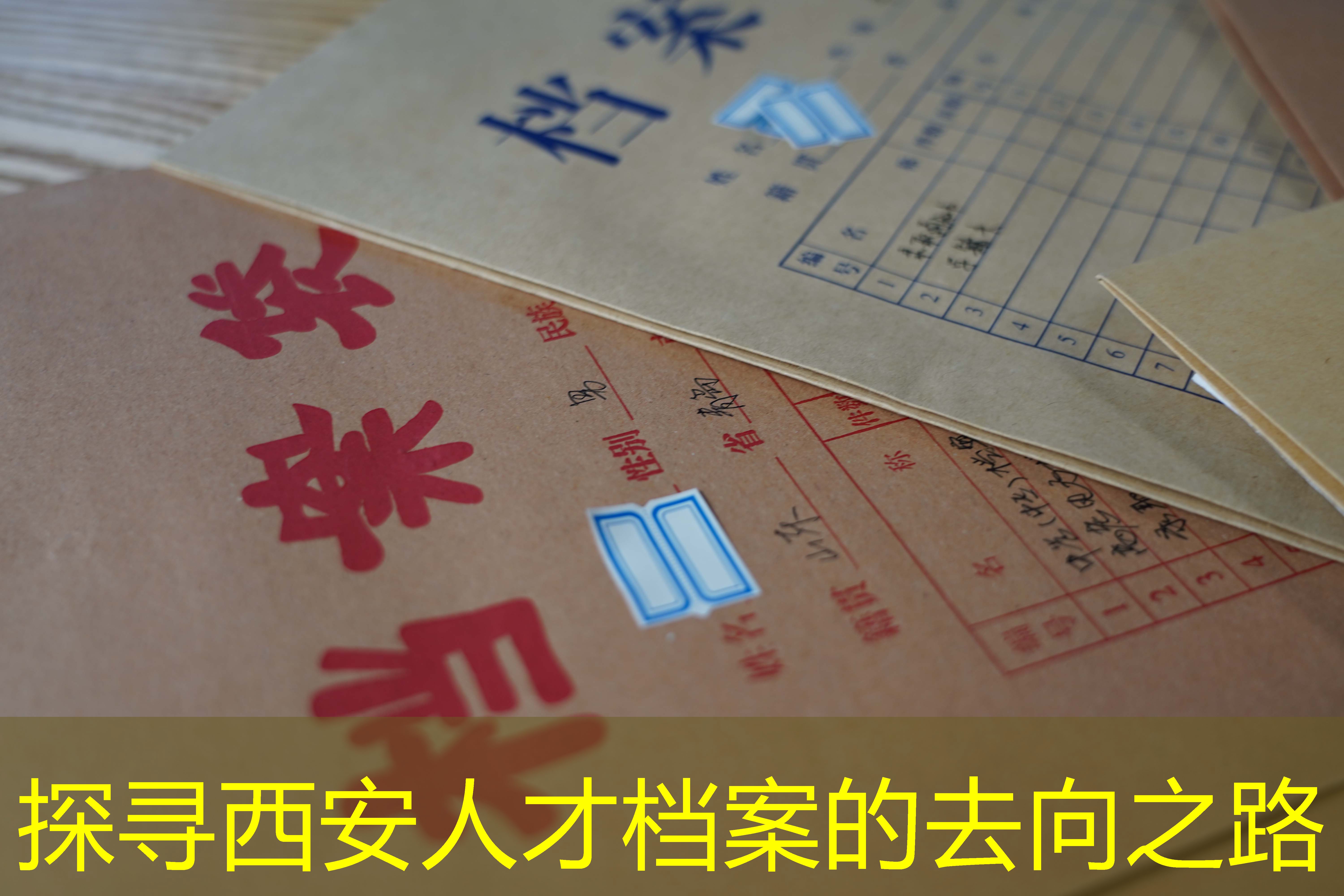 档案查询