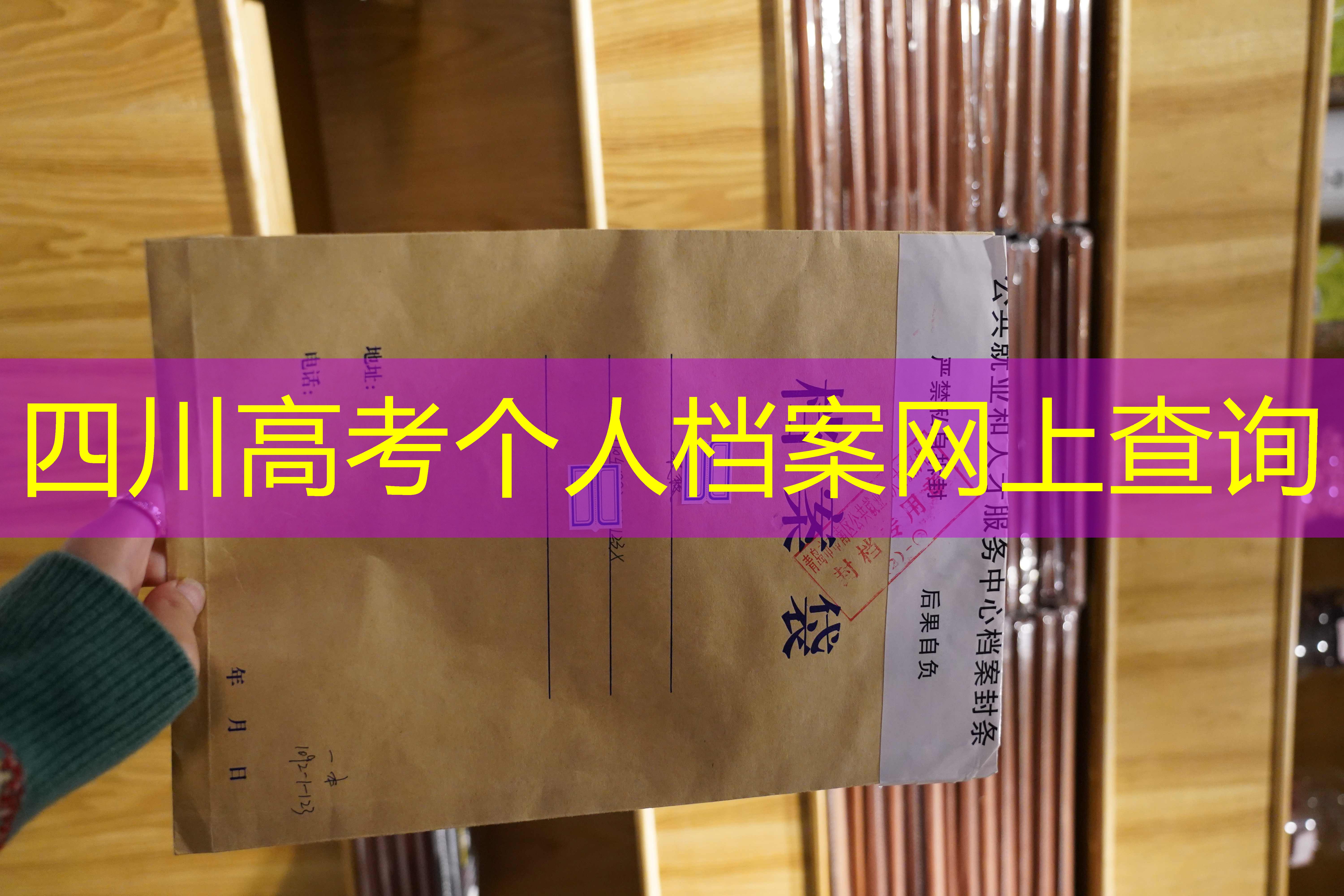 档案查询
