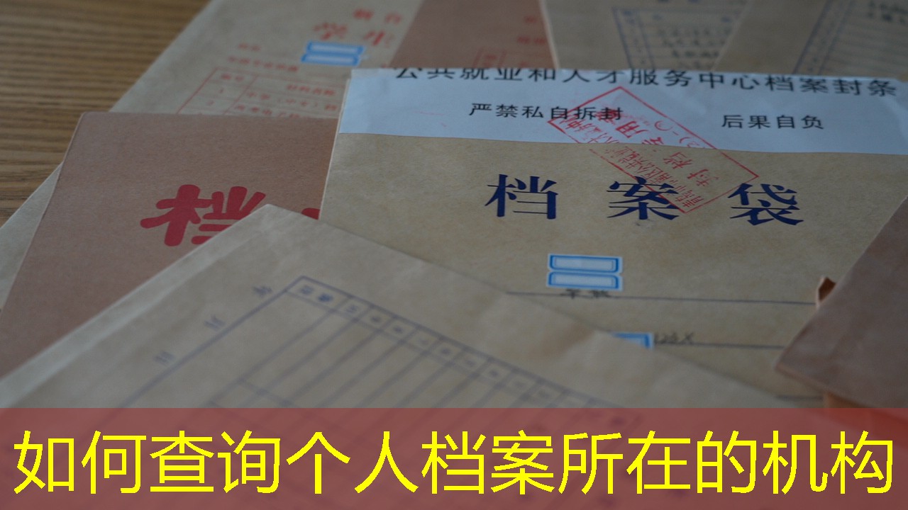 档案查询
