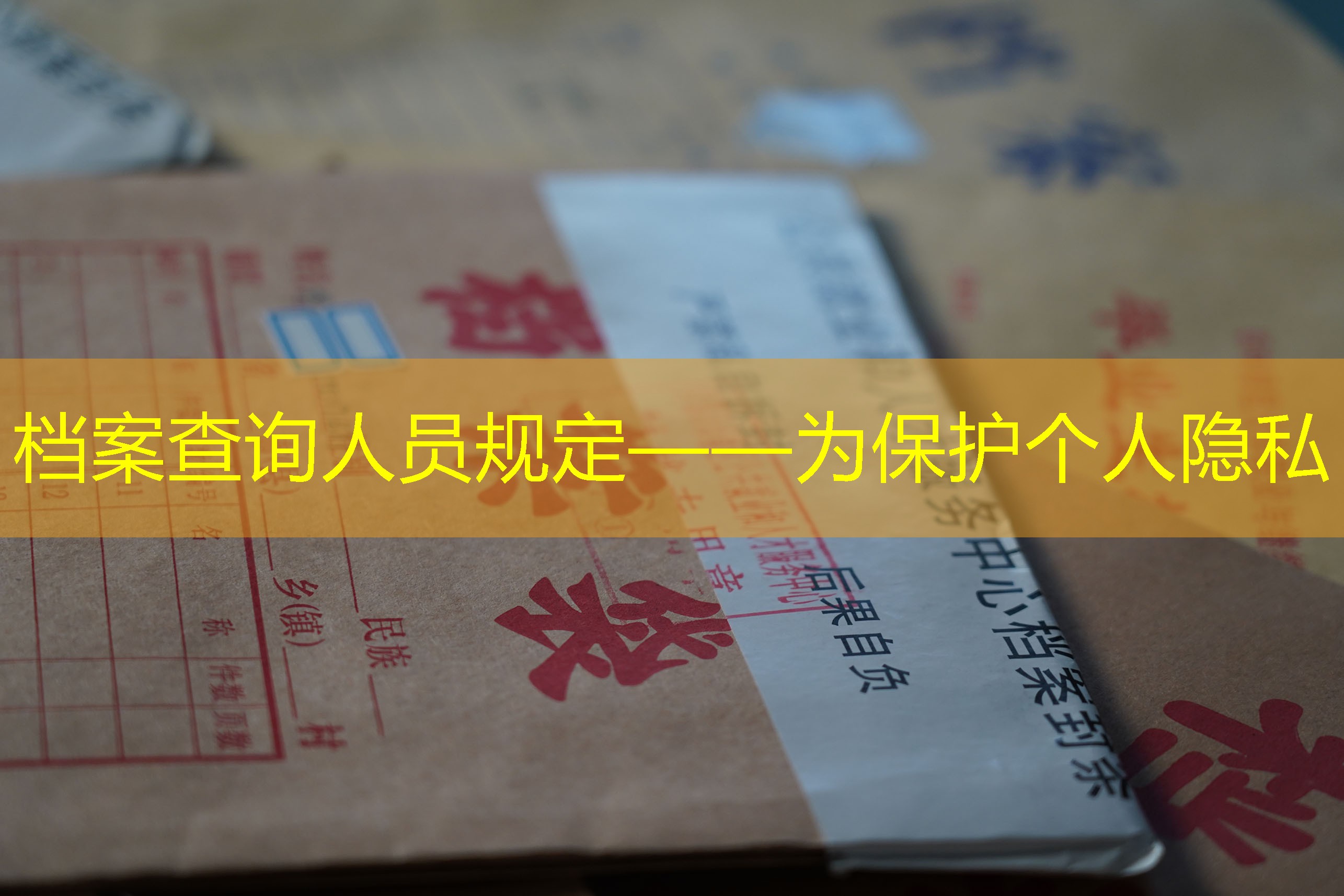 档案查询