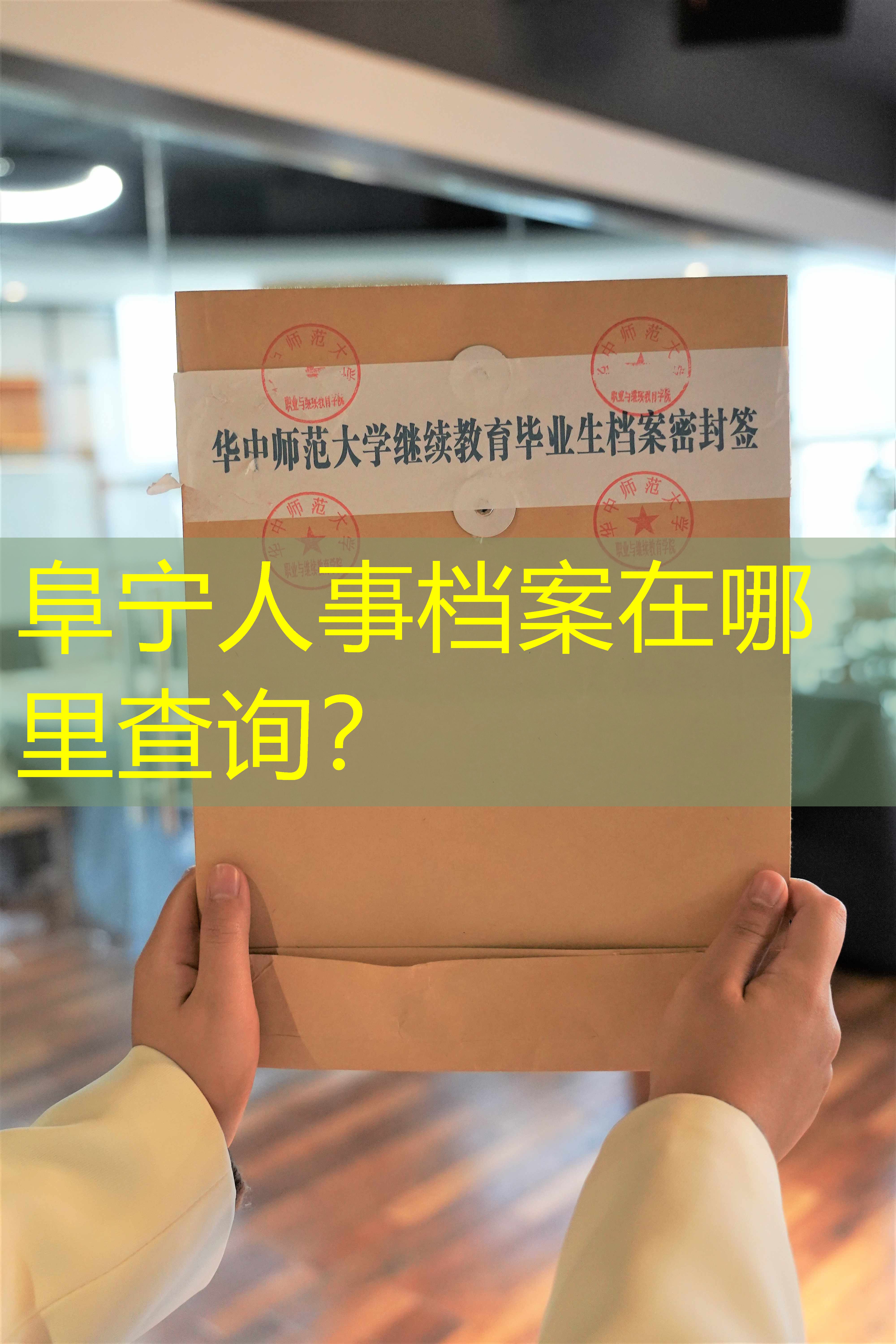 档案查询