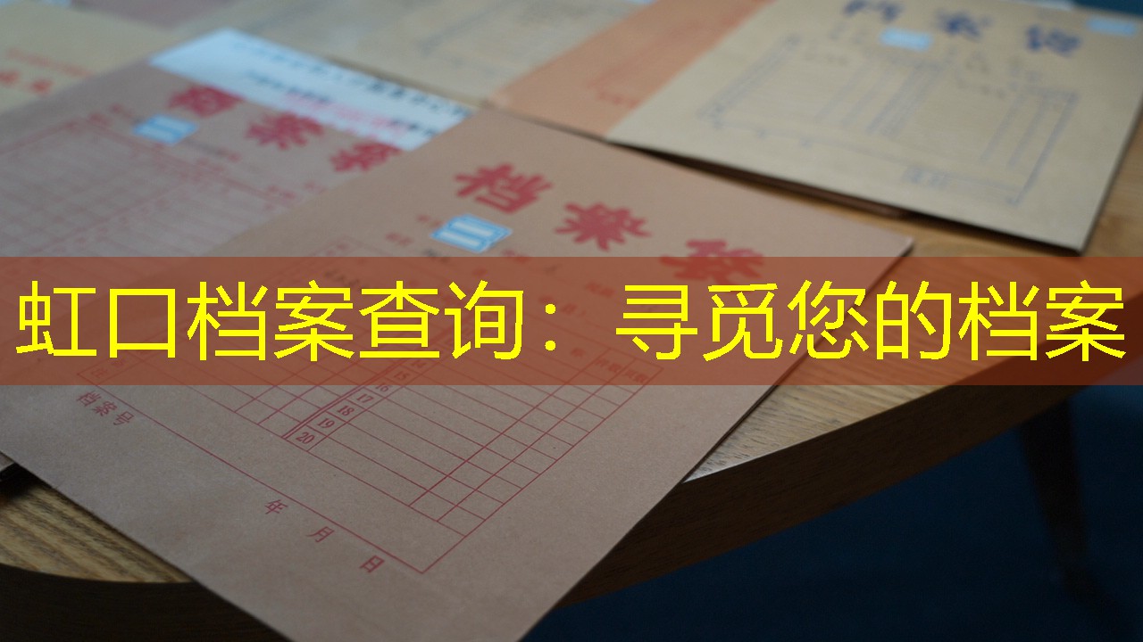 档案查询