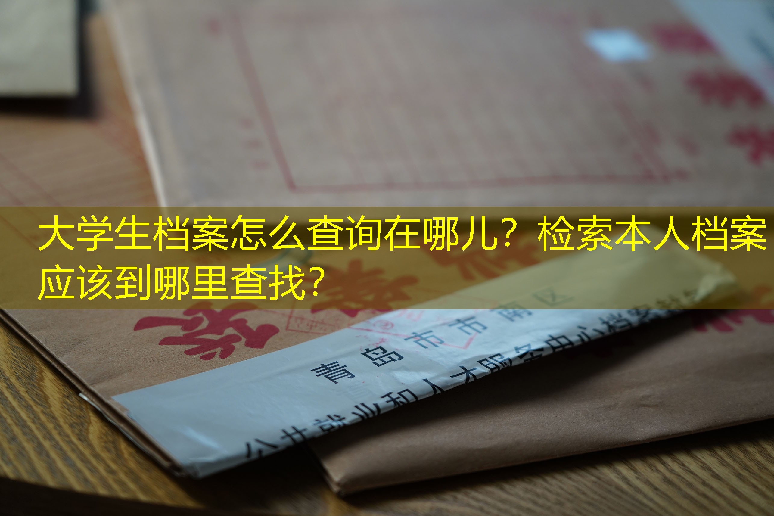 档案查询