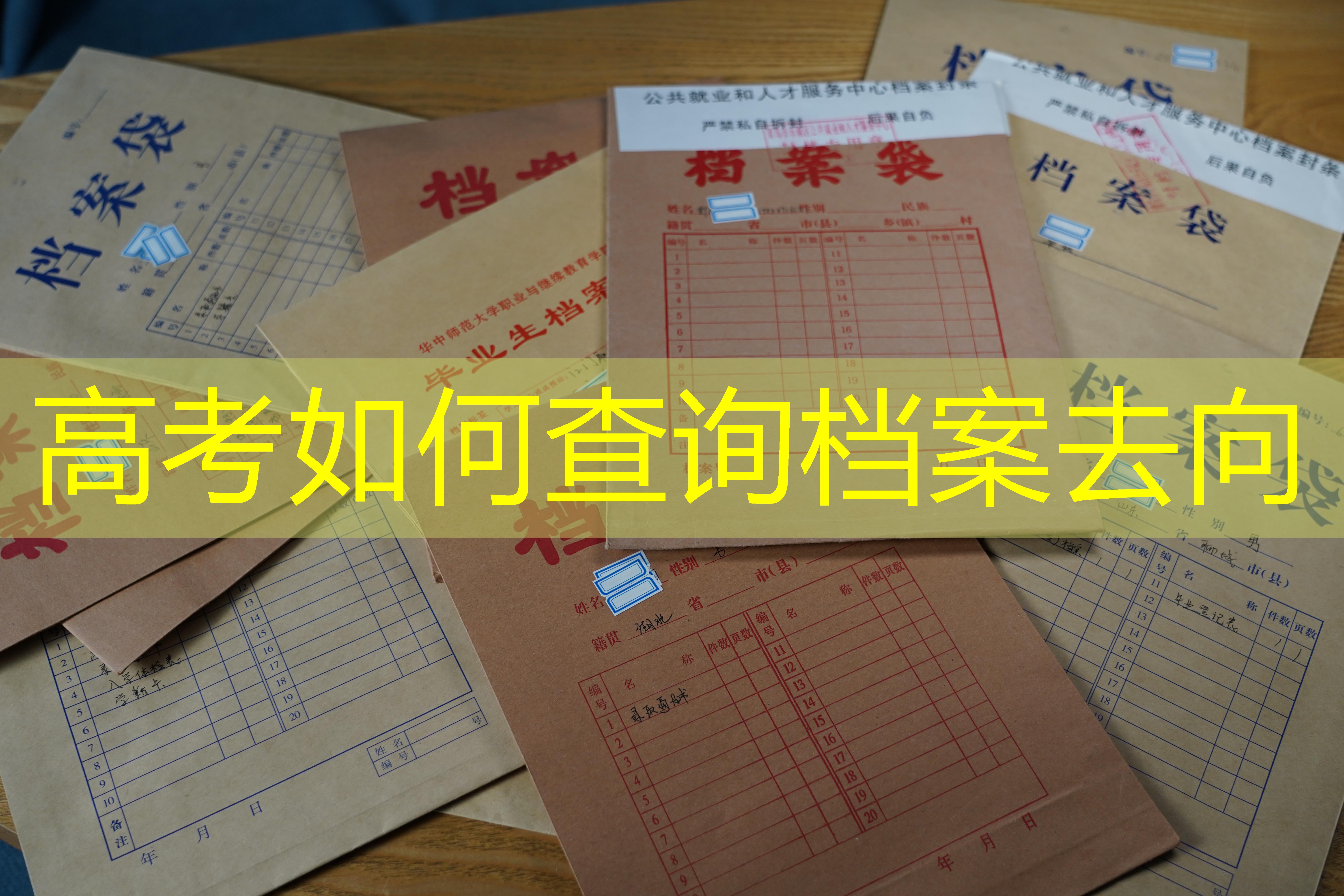 档案查询