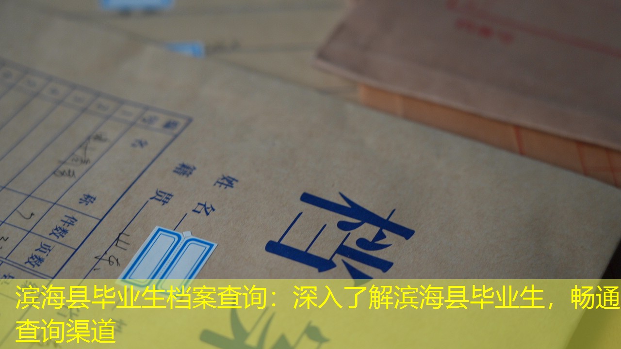 档案查询