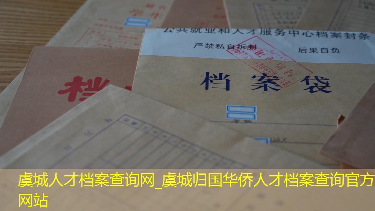 档案查询