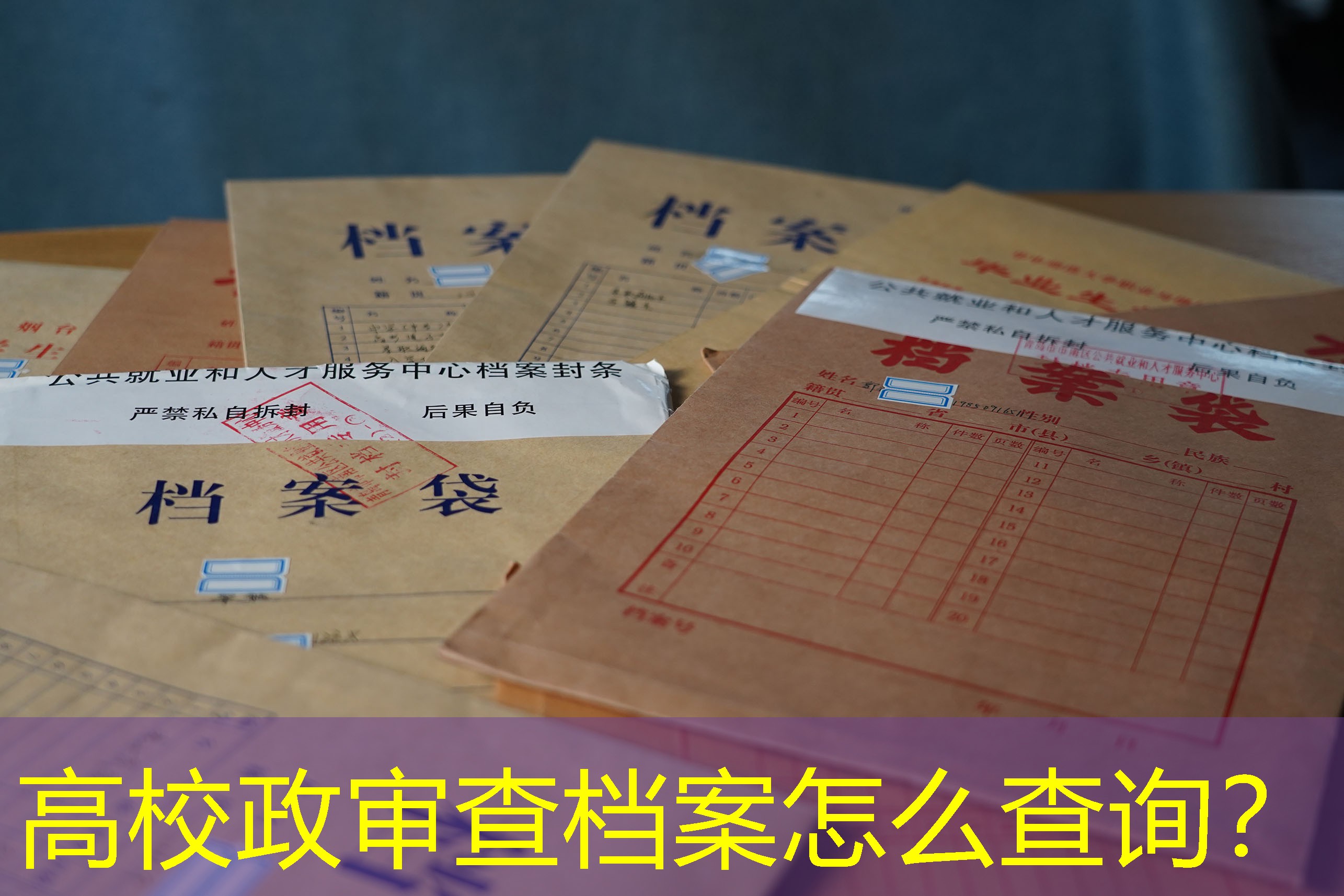 档案查询