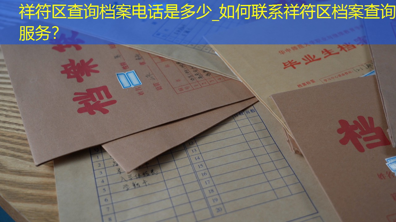 档案查询