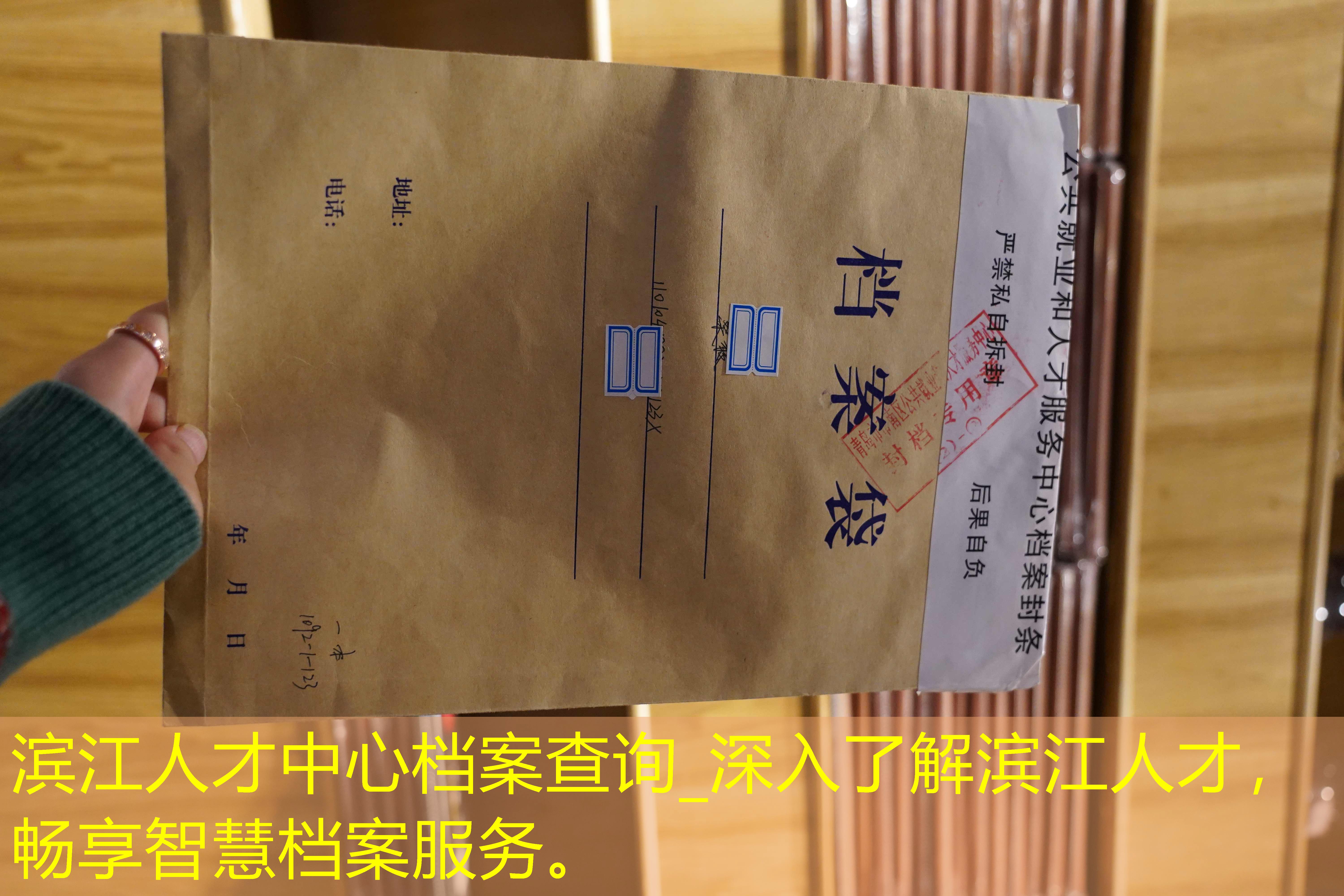 档案查询