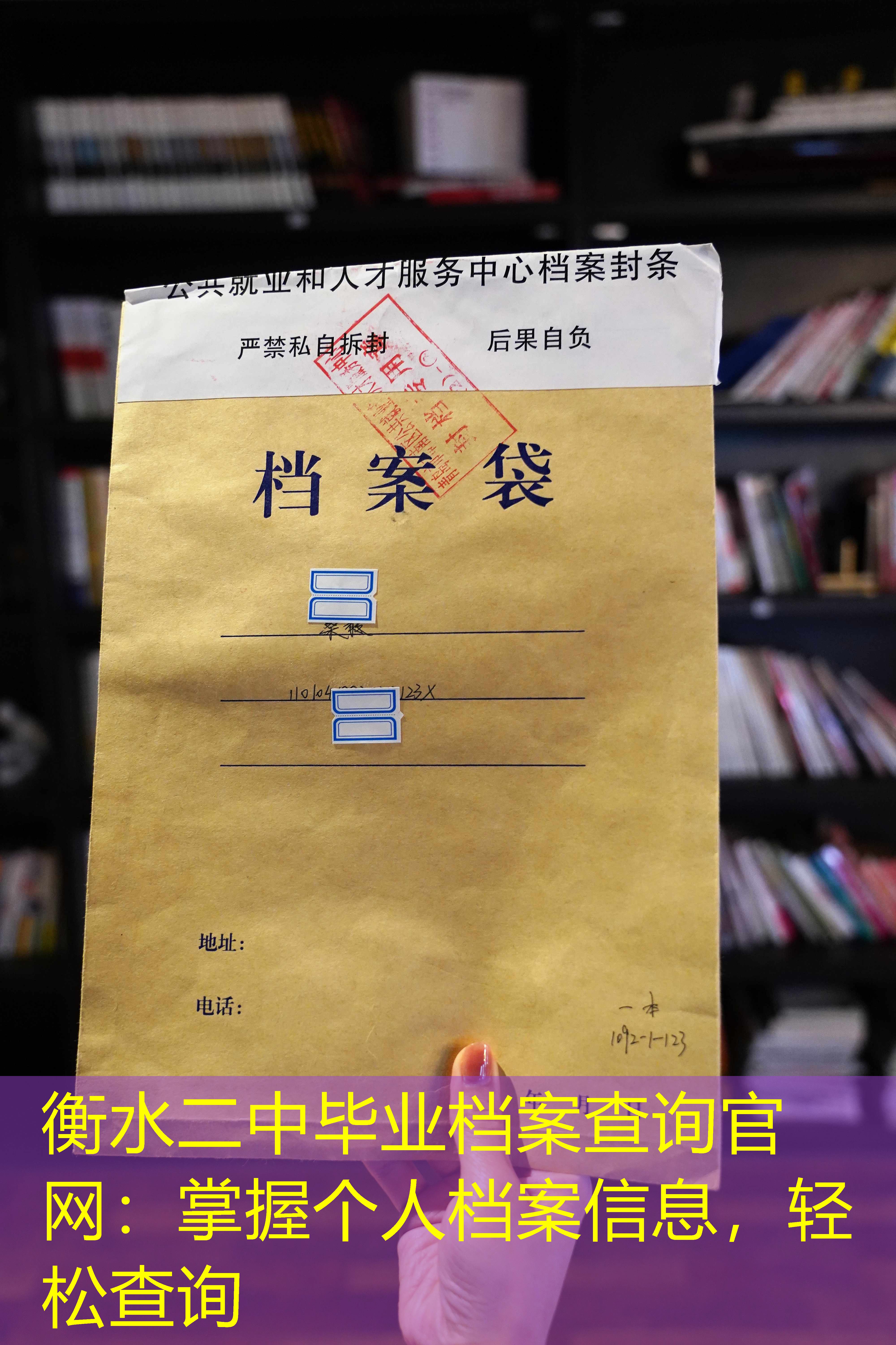 档案查询