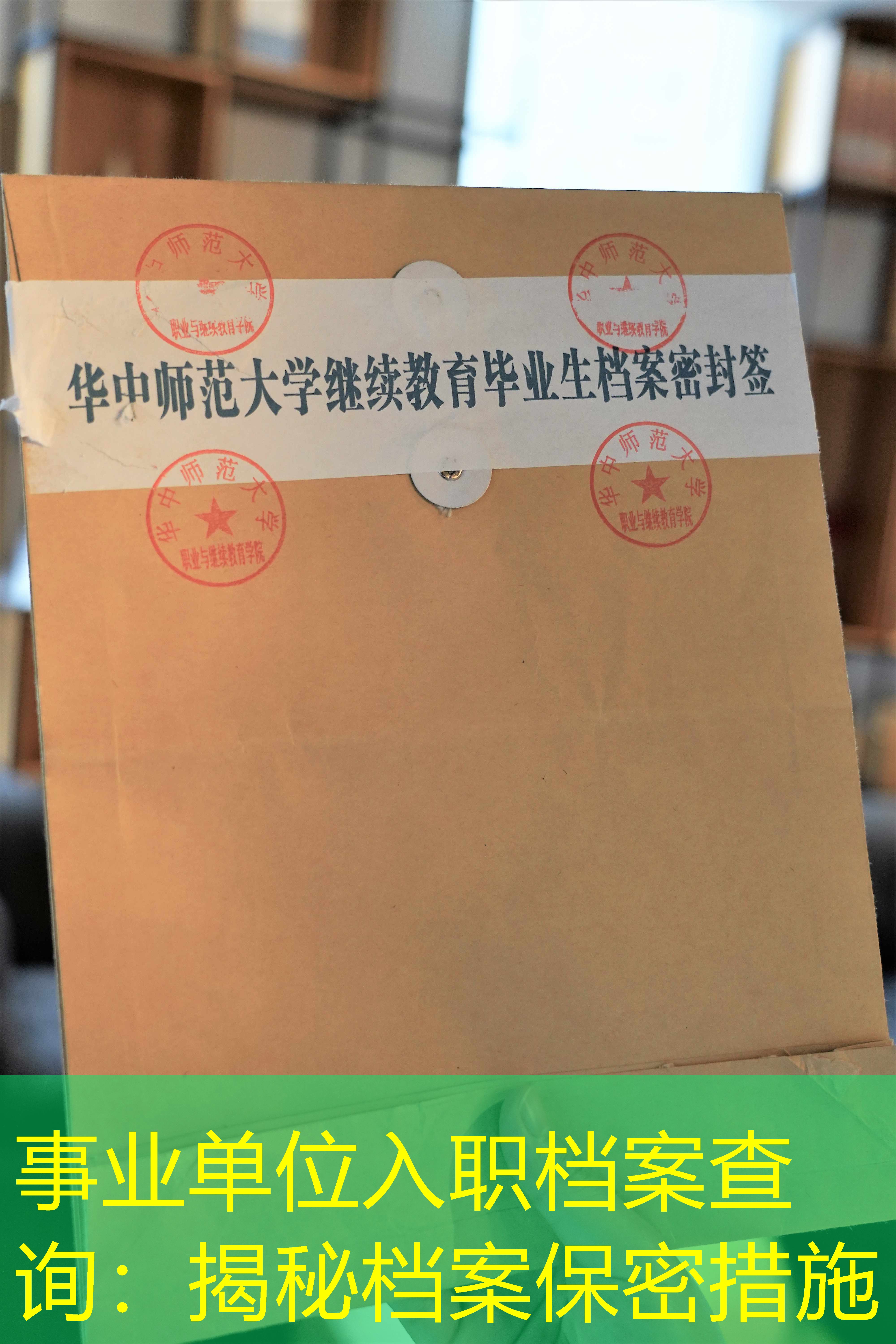 档案查询