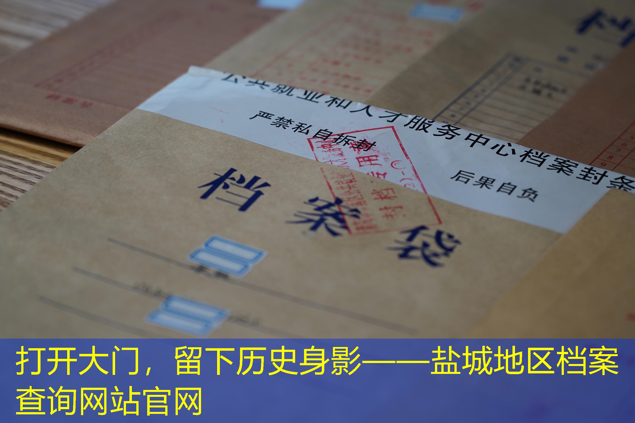 档案查询