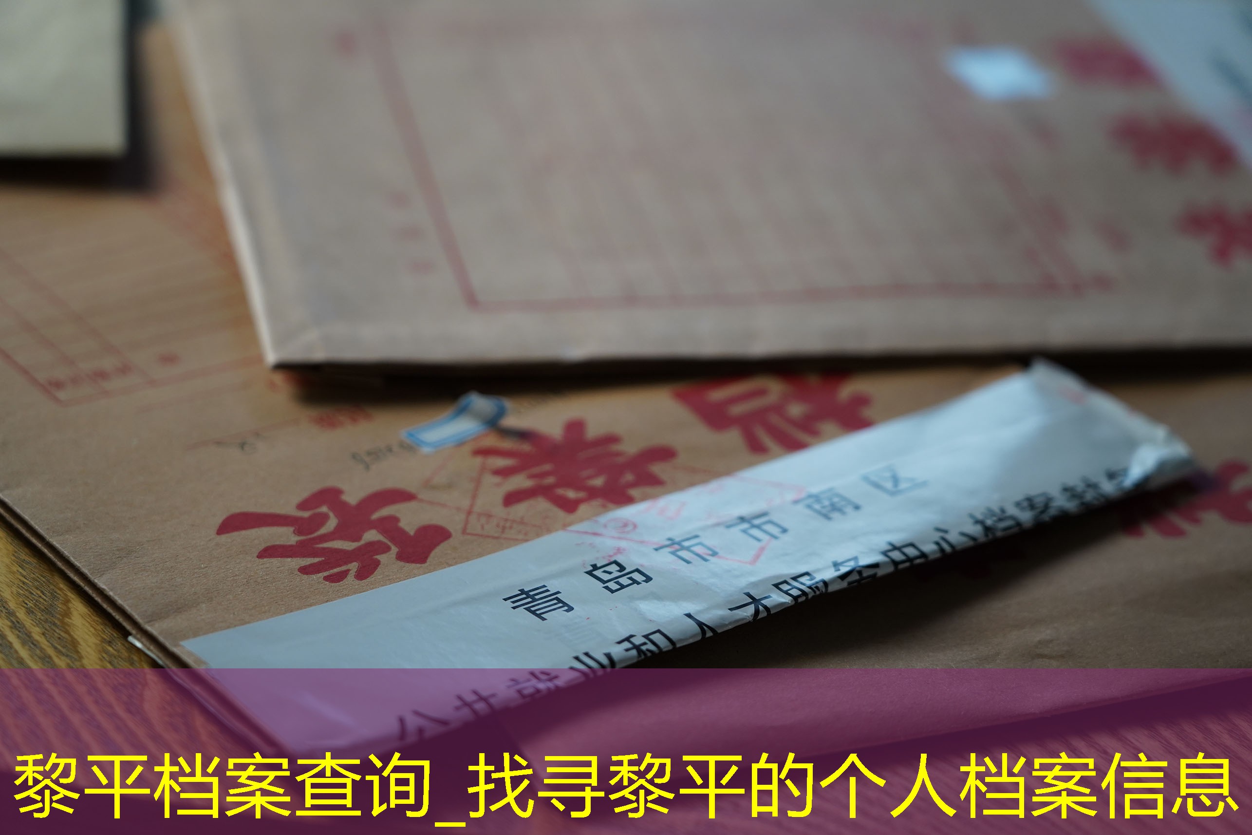 档案查询
