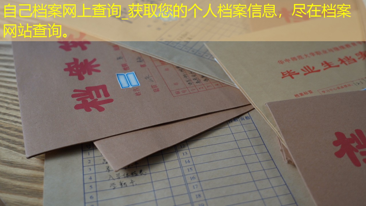 档案查询