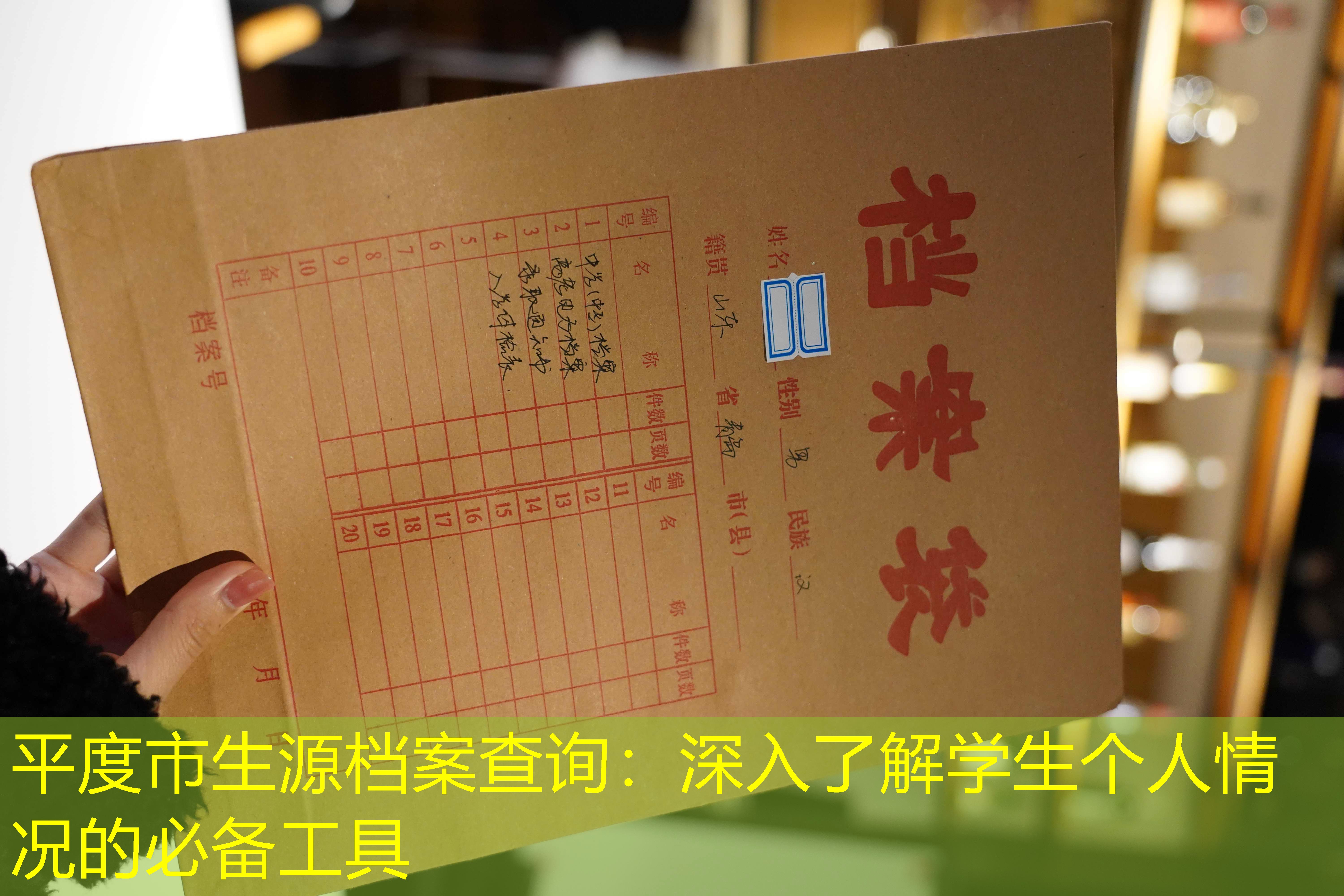 档案查询