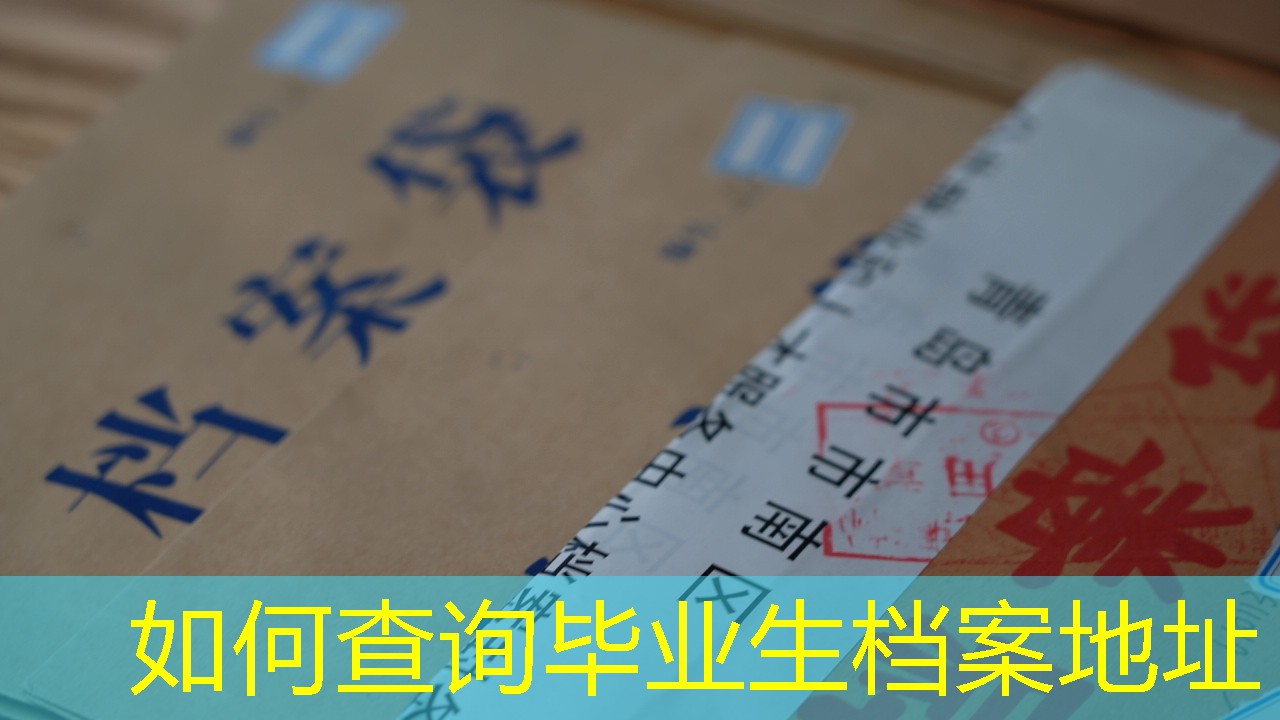档案查询