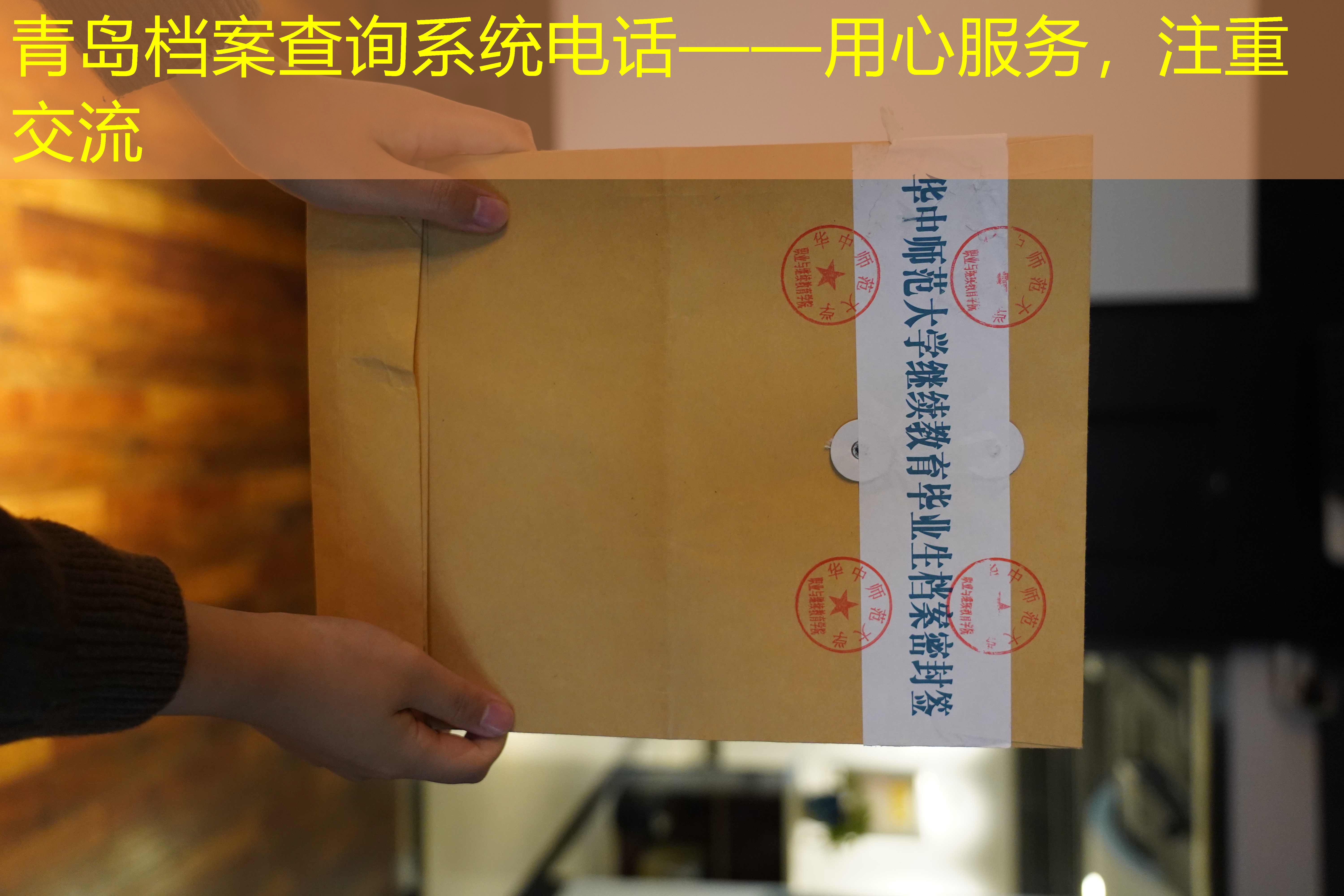 档案查询