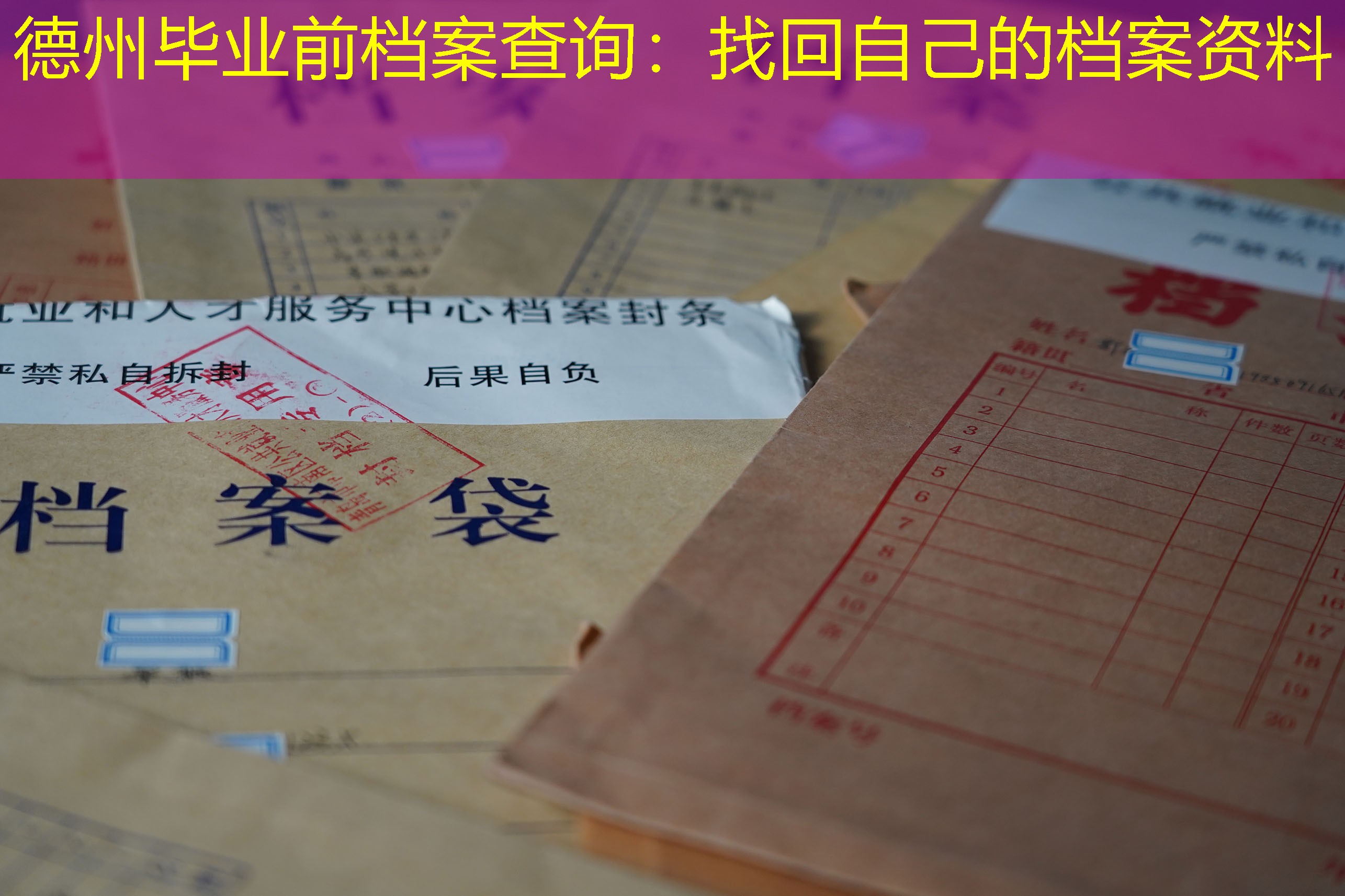 档案查询
