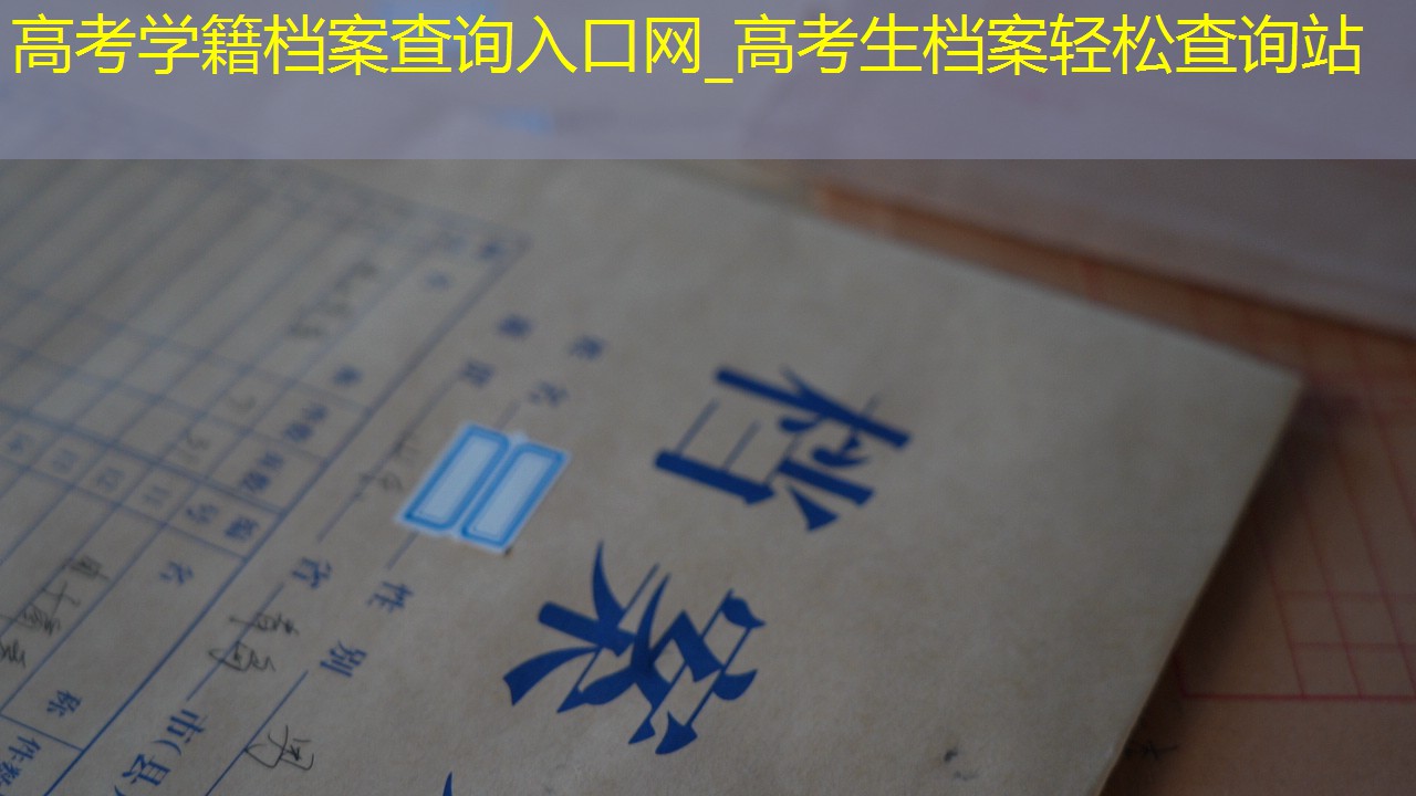 档案查询