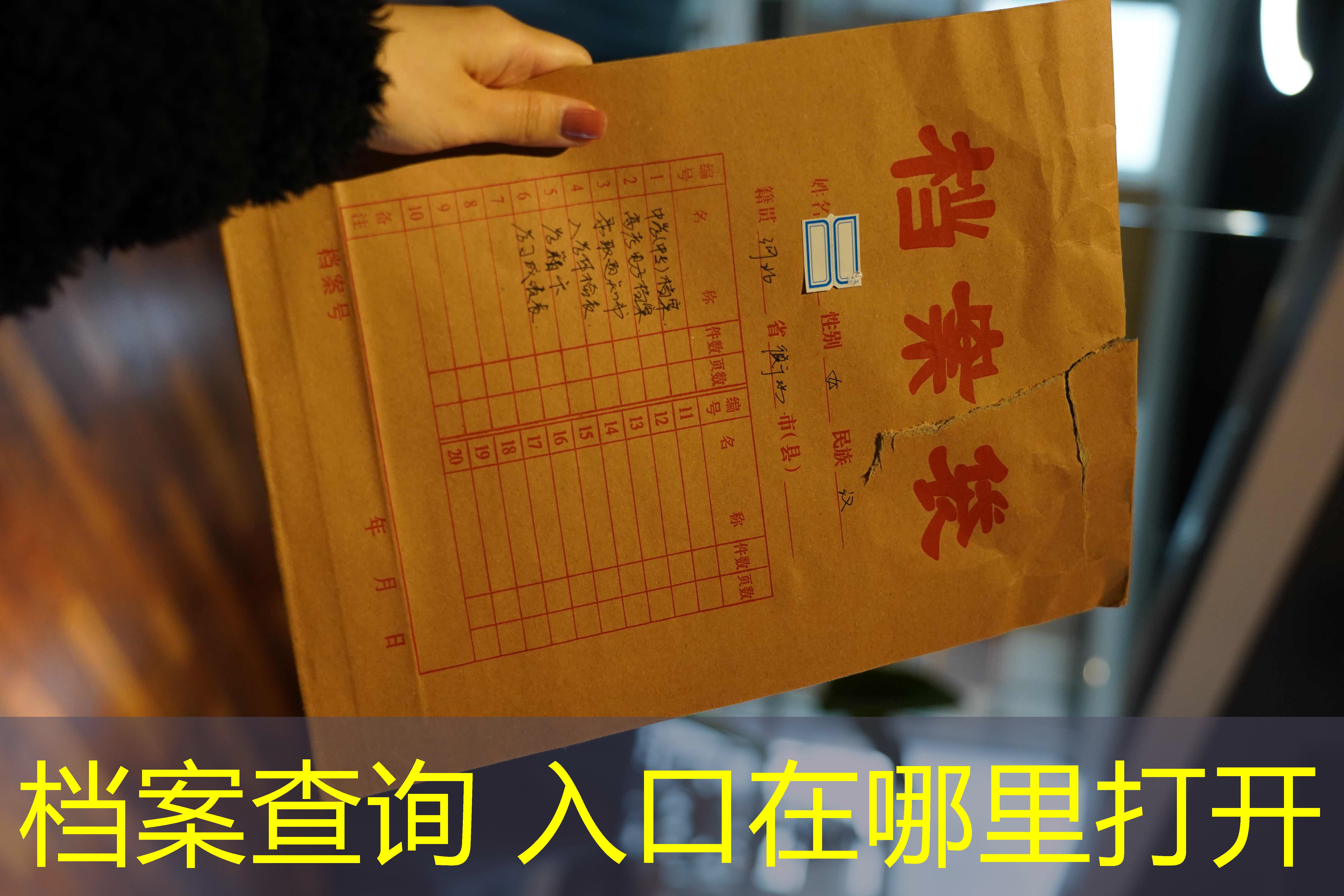 档案查询