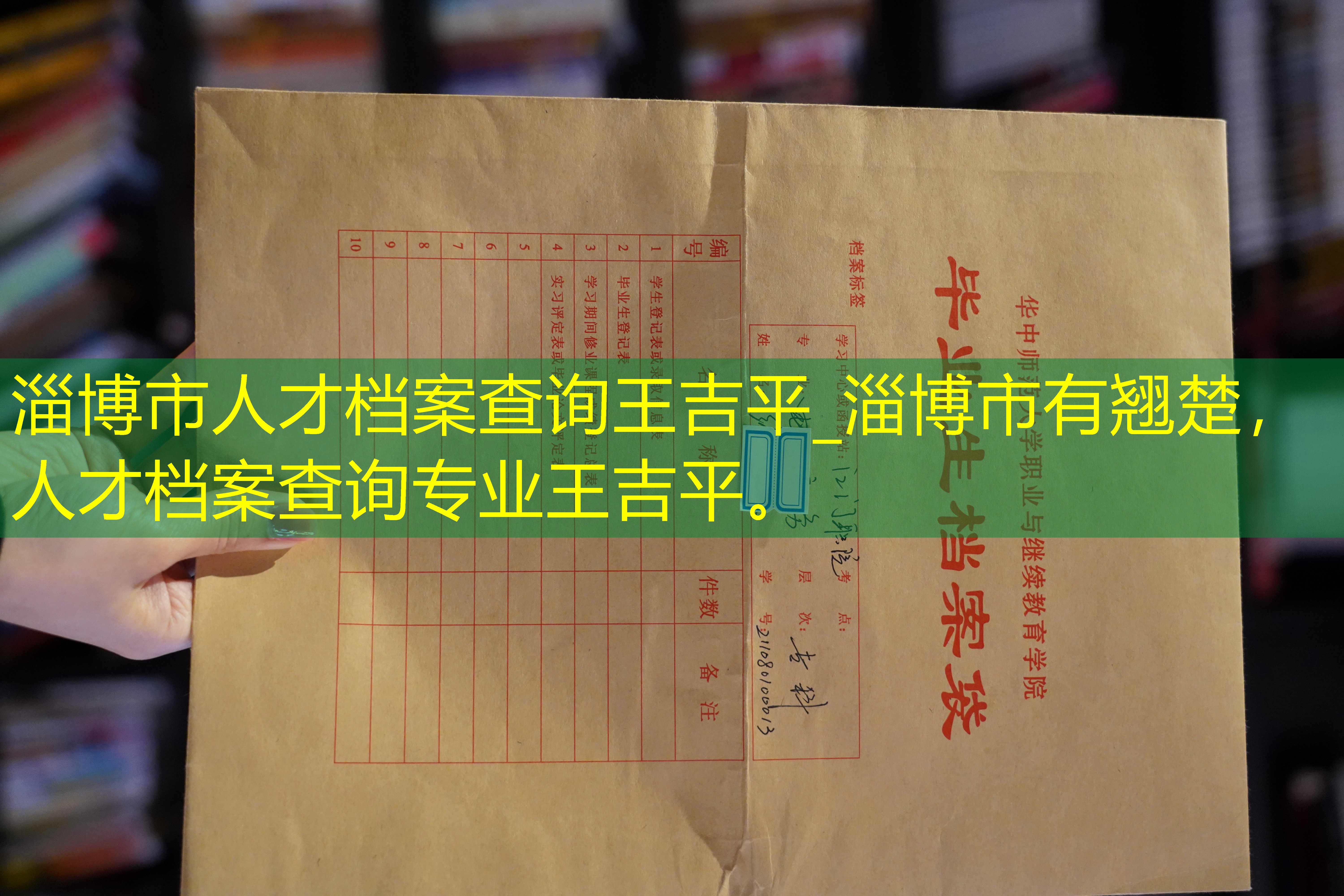 档案查询