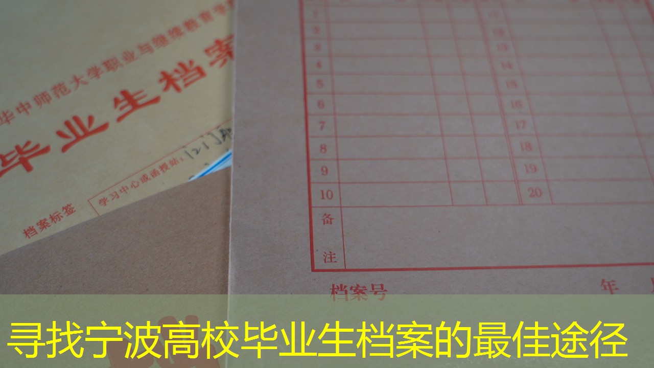 档案查询