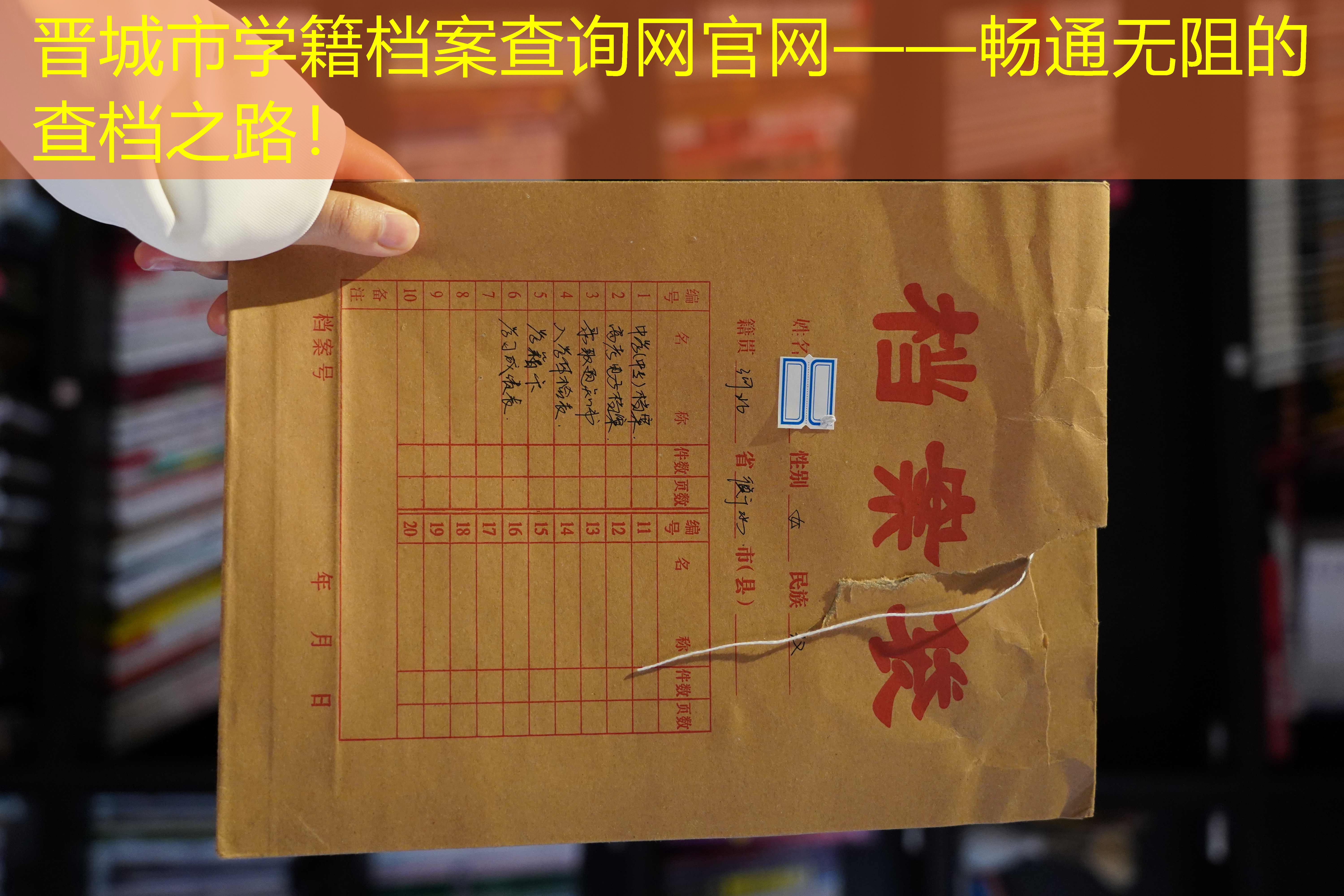 档案查询