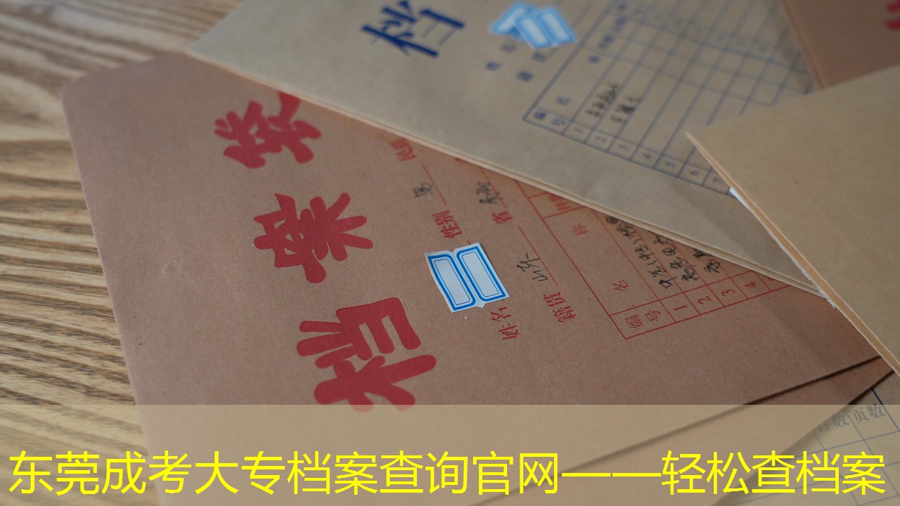 档案查询