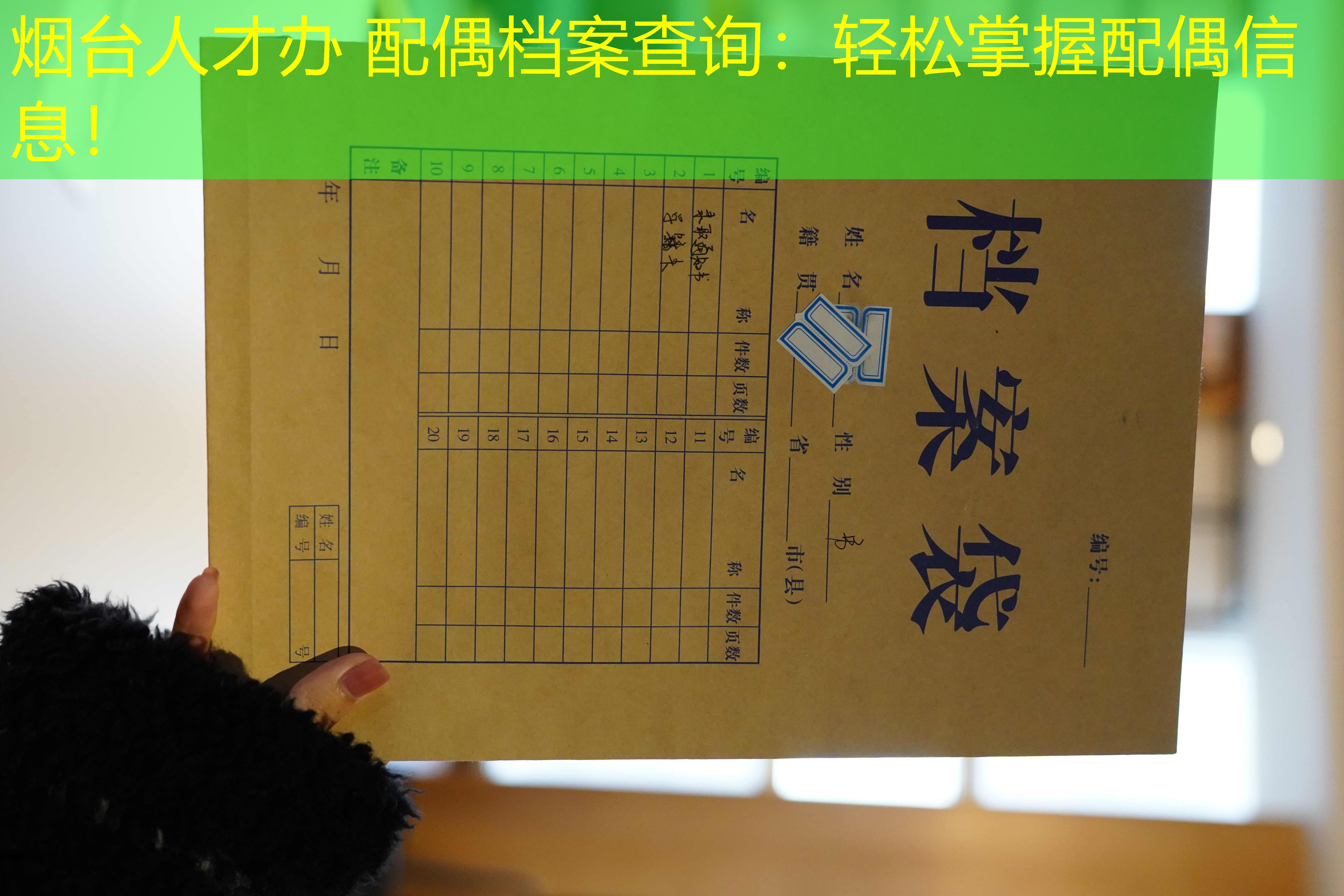 档案查询