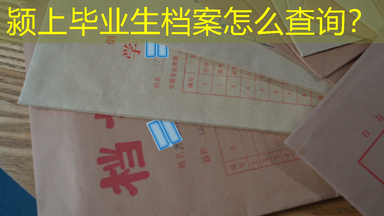 档案查询