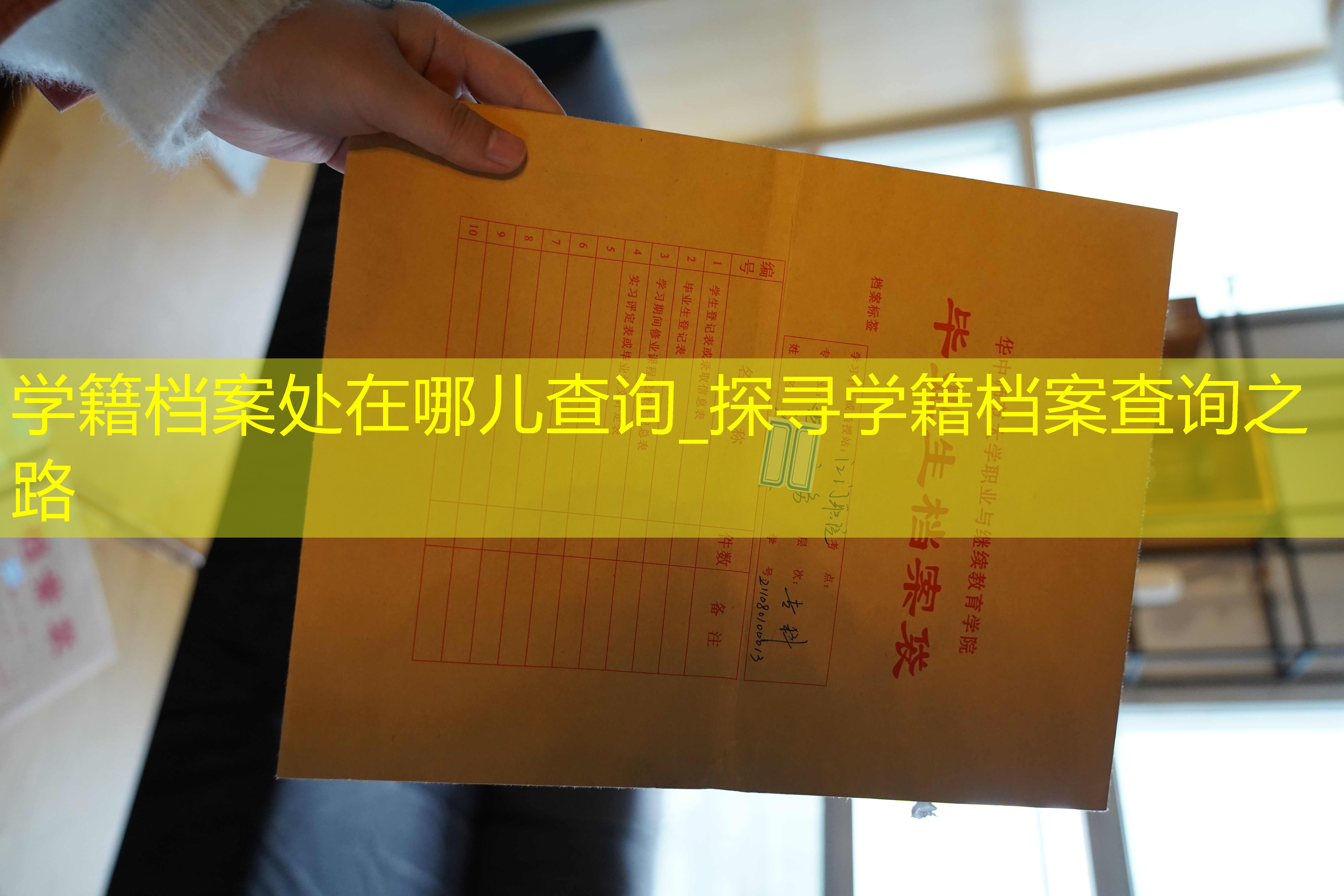 档案查询
