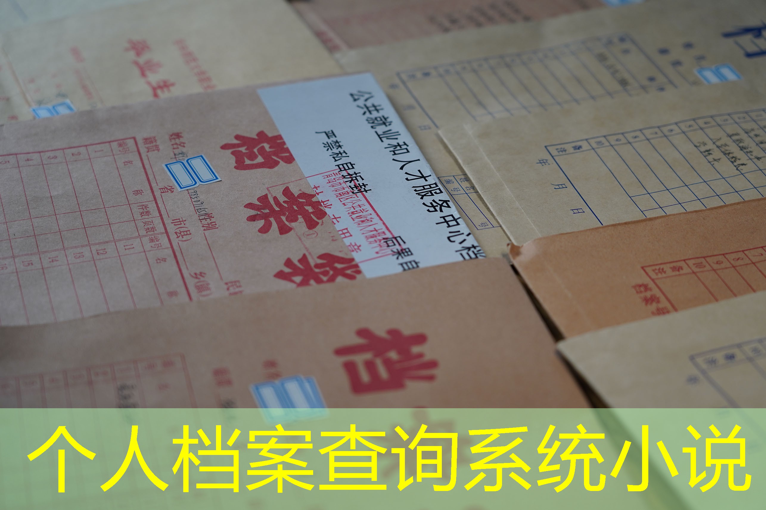 档案查询
