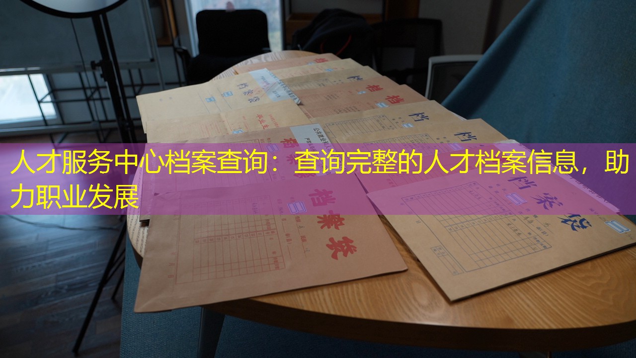 档案查询