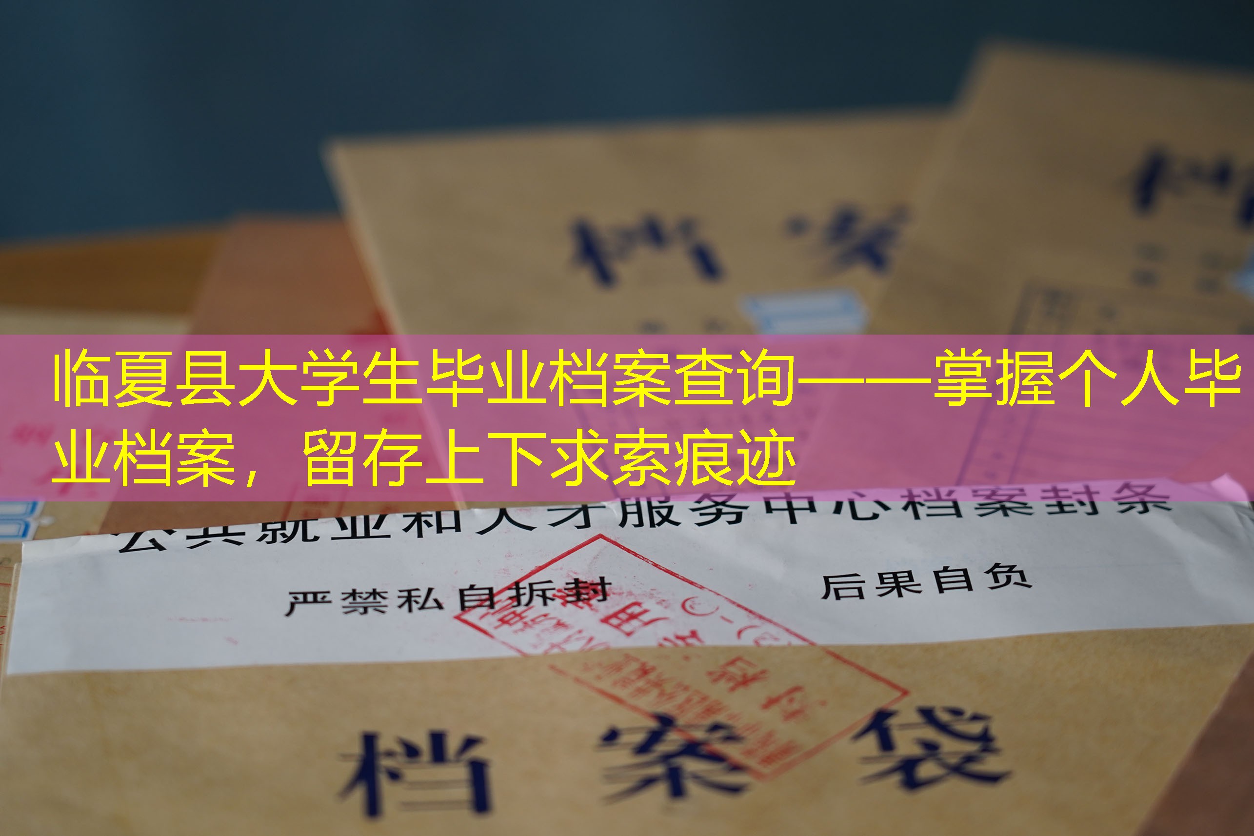 档案查询