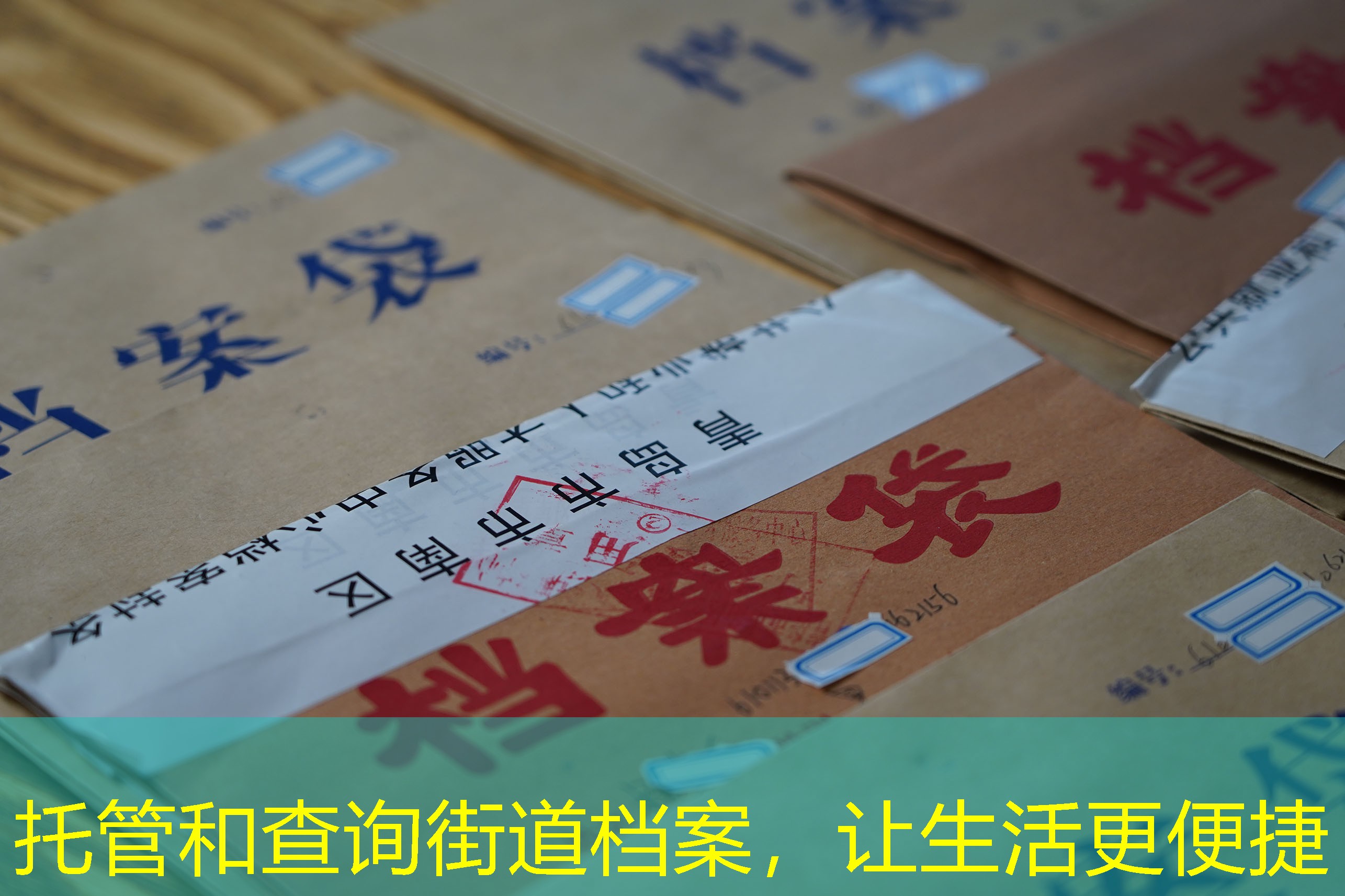 档案查询