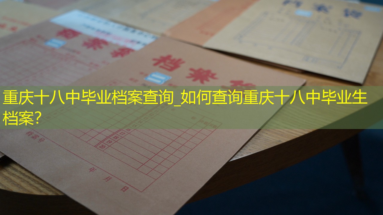 档案查询