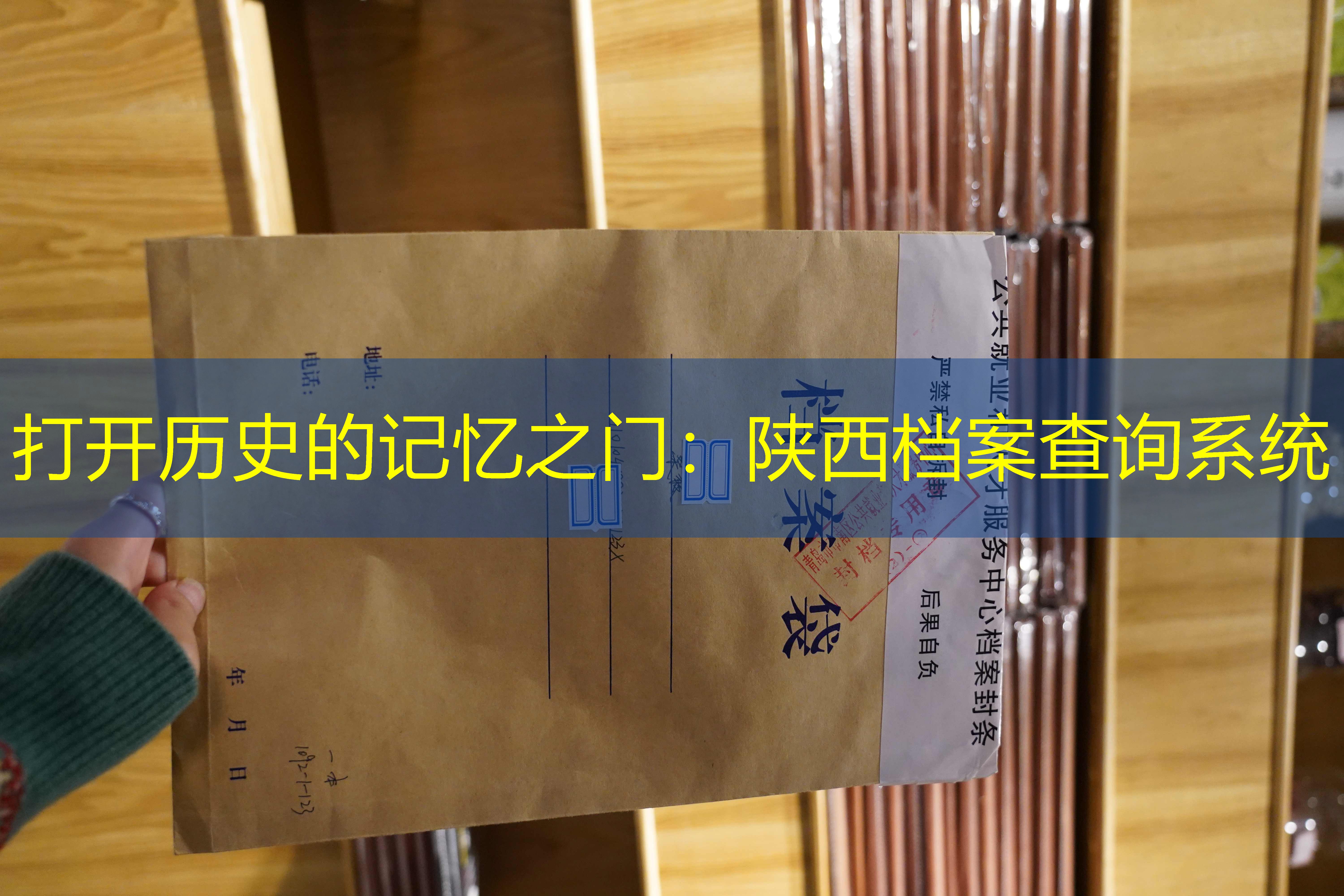 档案查询